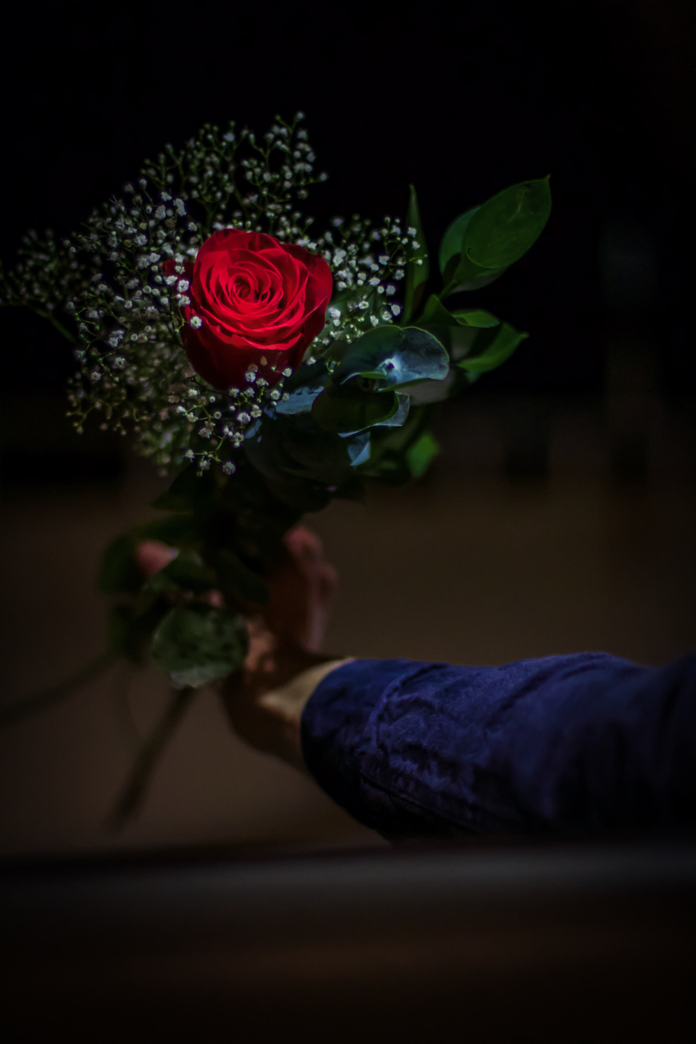 Canon EOS 1200D (EOS Rebel T5 / EOS Kiss X70 / EOS Hi) + Canon EF 50mm F1.4 USM sample photo. Roses are red... photography