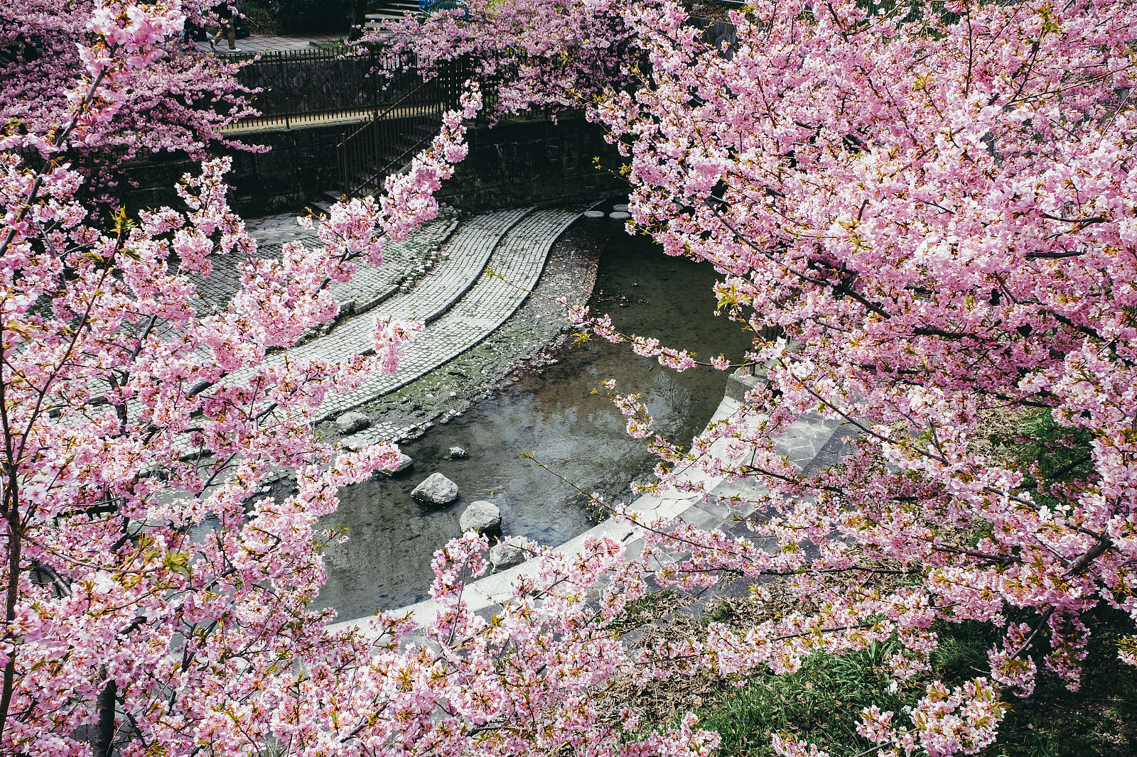 Fujifilm X-T1 + Fujifilm XF 16-55mm F2.8 R LM WR sample photo. Yodo waterway photography