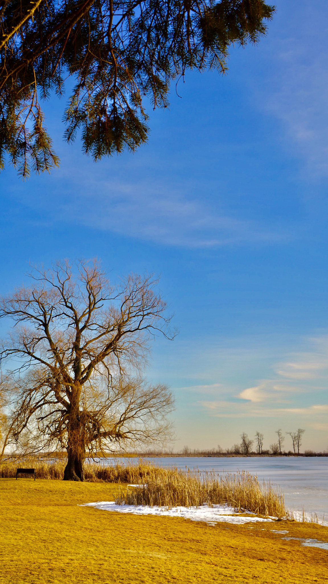 Sony a7R II + Sony FE PZ 28-135mm F4 G OSS sample photo. Mclaughlin bay wildlife reserve, oshawa, ontario canada photography