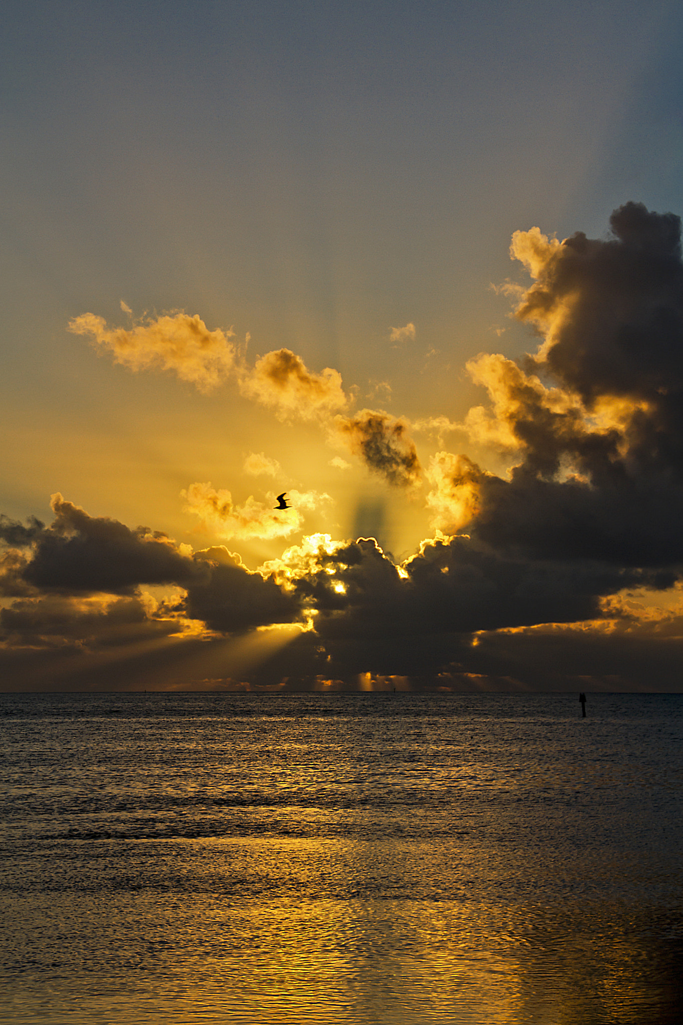 Canon EOS 7D sample photo. Key west sunrise 39 photography