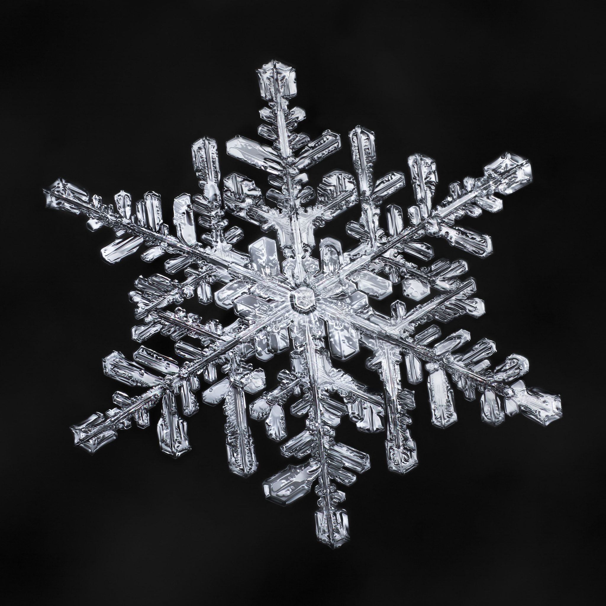 Canon MP-E 65mm F2.5 1-5x Macro Photo sample photo. Snowflake-a-day #69 photography