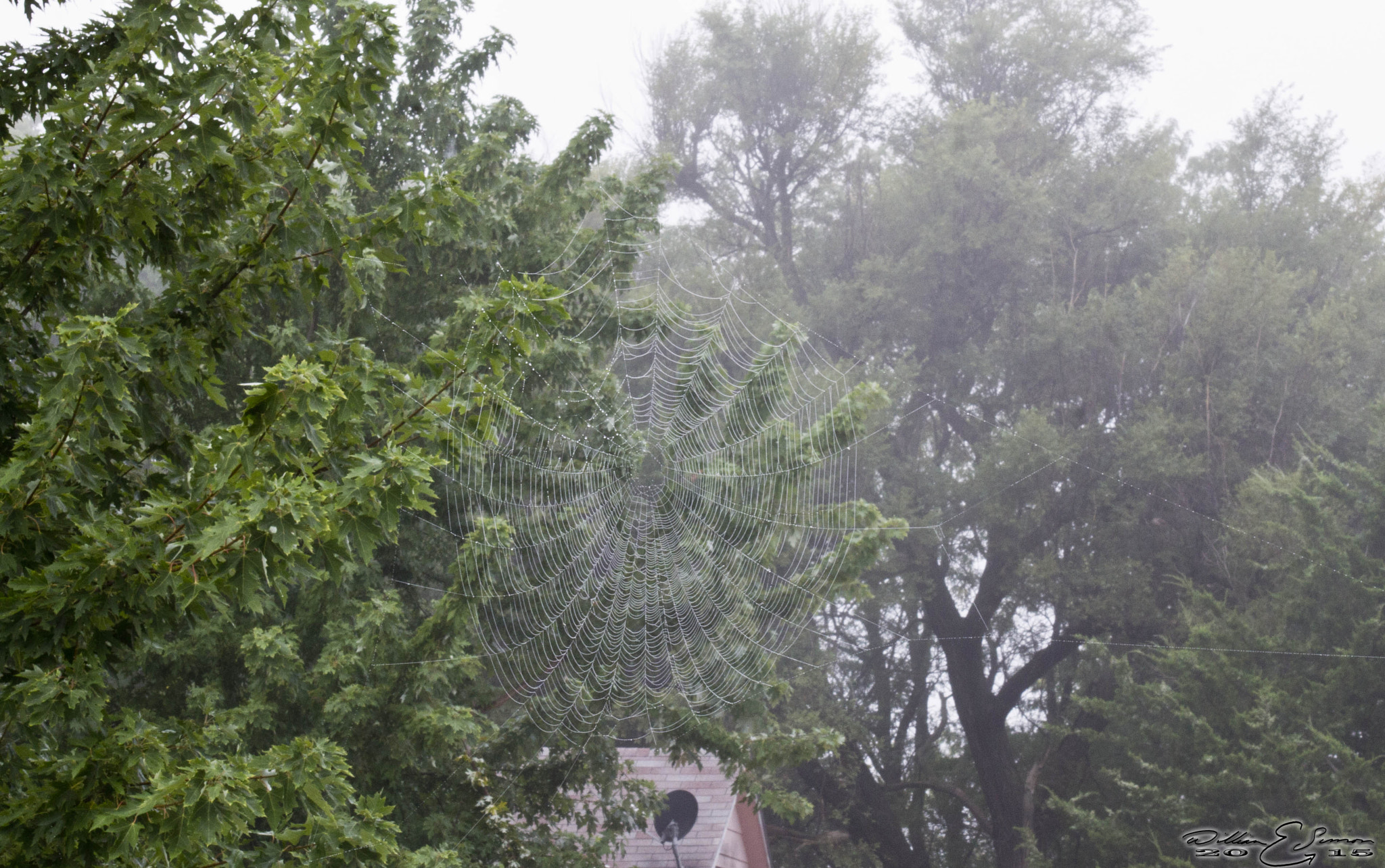 Canon EF 35-80mm f/4-5.6 sample photo. 6119.jpg photography