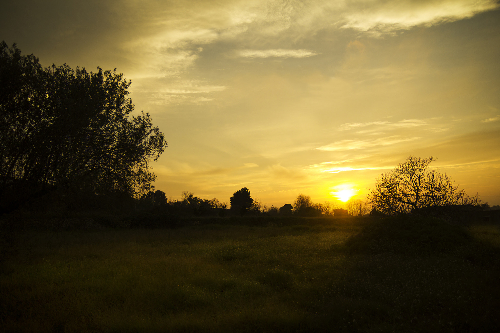 Canon EOS 550D (EOS Rebel T2i / EOS Kiss X4) + Sigma 18-50mm f/2.8 Macro sample photo. I love to go out and walk in the sunset photography