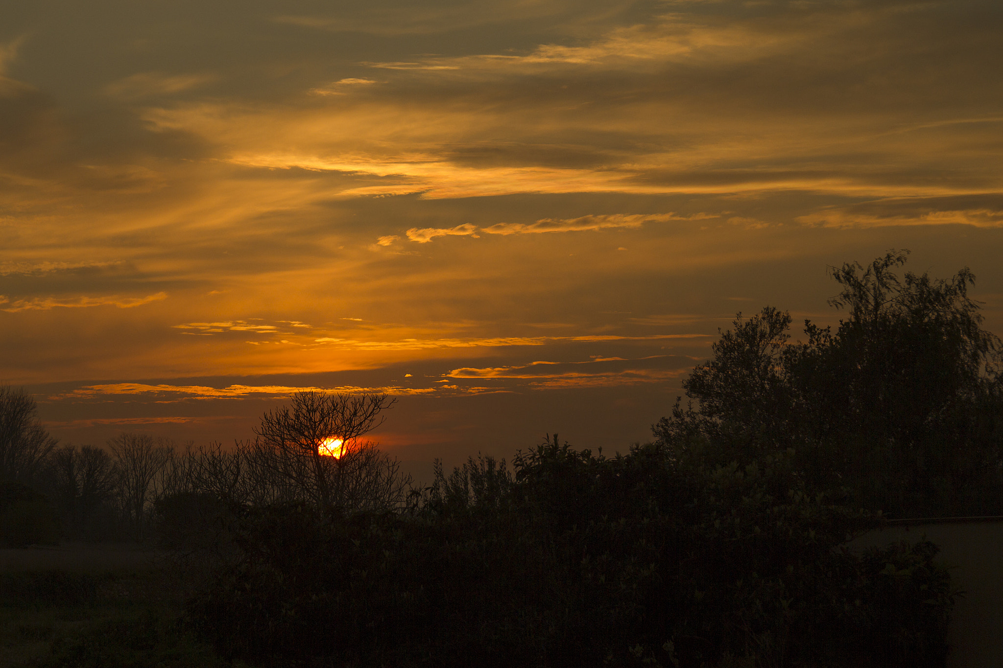 Canon EOS 550D (EOS Rebel T2i / EOS Kiss X4) + Sigma 18-50mm f/2.8 Macro sample photo. Sunset photography