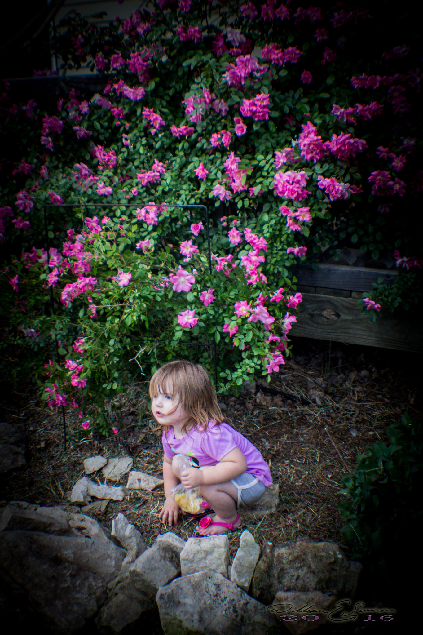 Canon EF 35-80mm f/4-5.6 sample photo. 7850.jpg photography