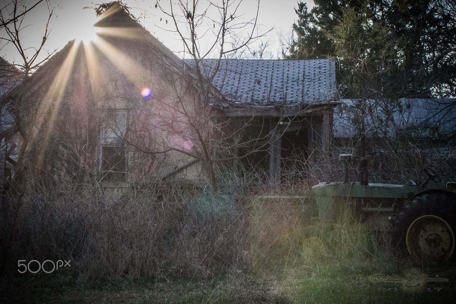 Canon EF 35-80mm f/4-5.6 sample photo. Mg photography