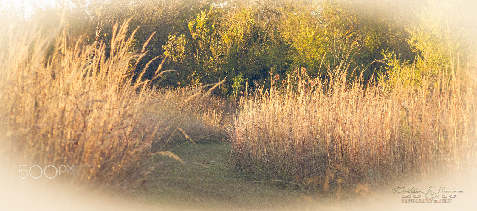 Canon EF 35-80mm f/4-5.6 sample photo. 6673-2.jpg photography
