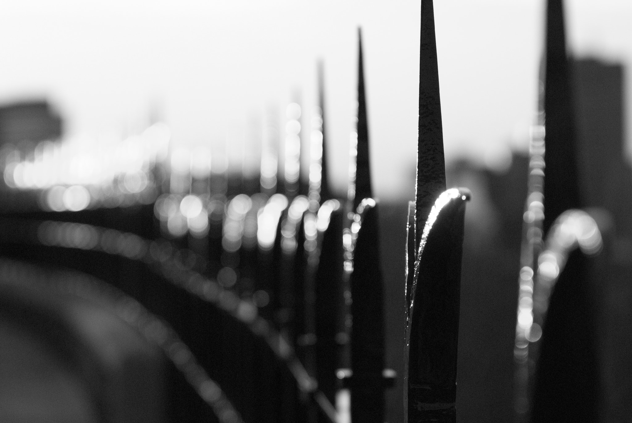 Sigma 70-200mm F2.8 EX DG OS HSM sample photo. Fence photography