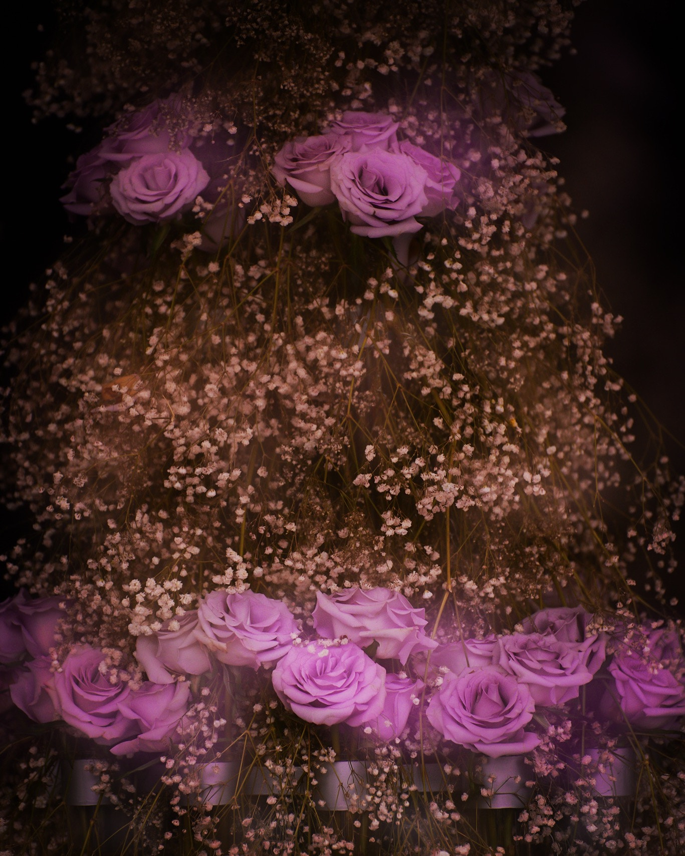 Nikon D800E sample photo. Flower photography