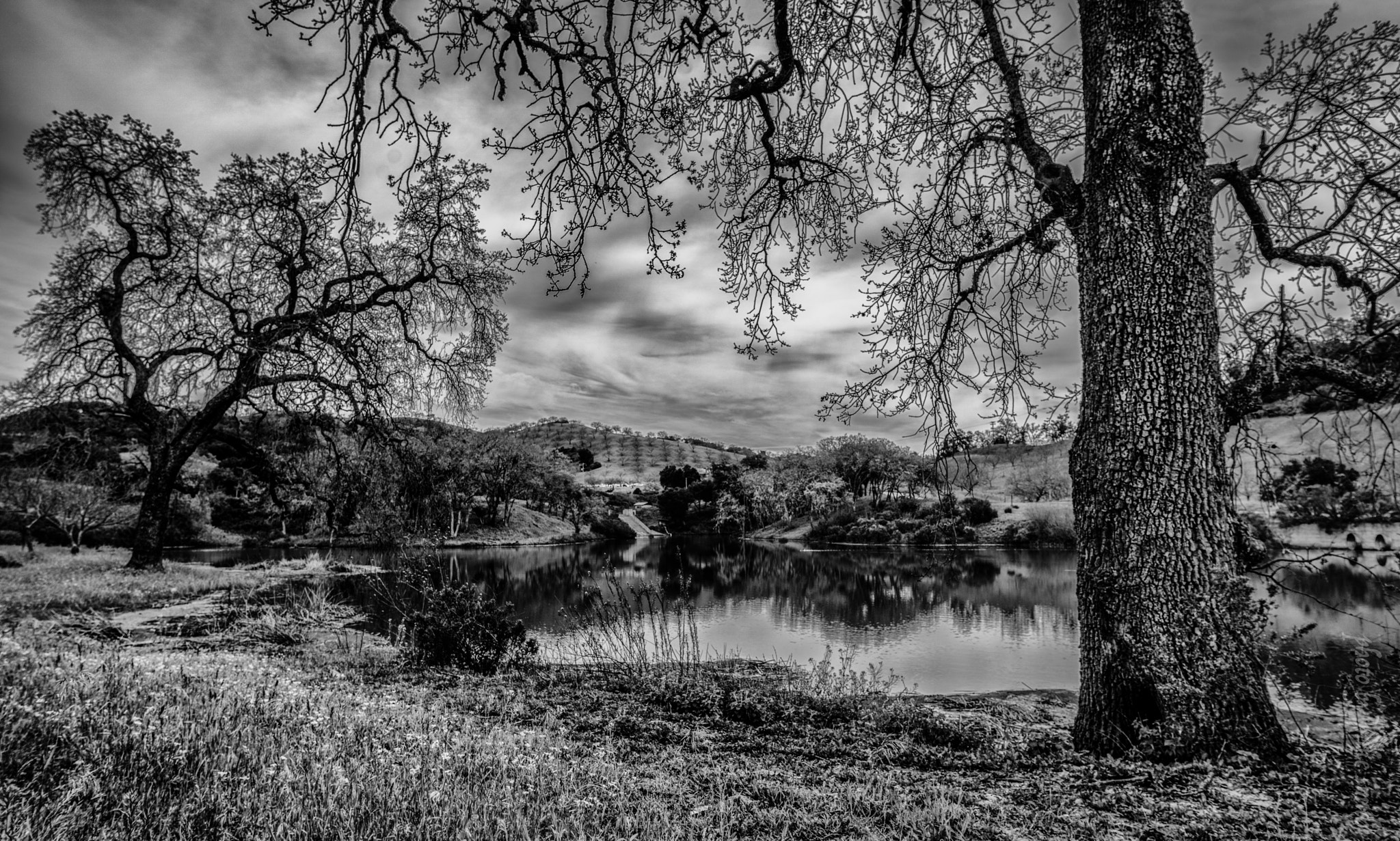 E 21mm F2.8 sample photo. Black and white pond 2 photography
