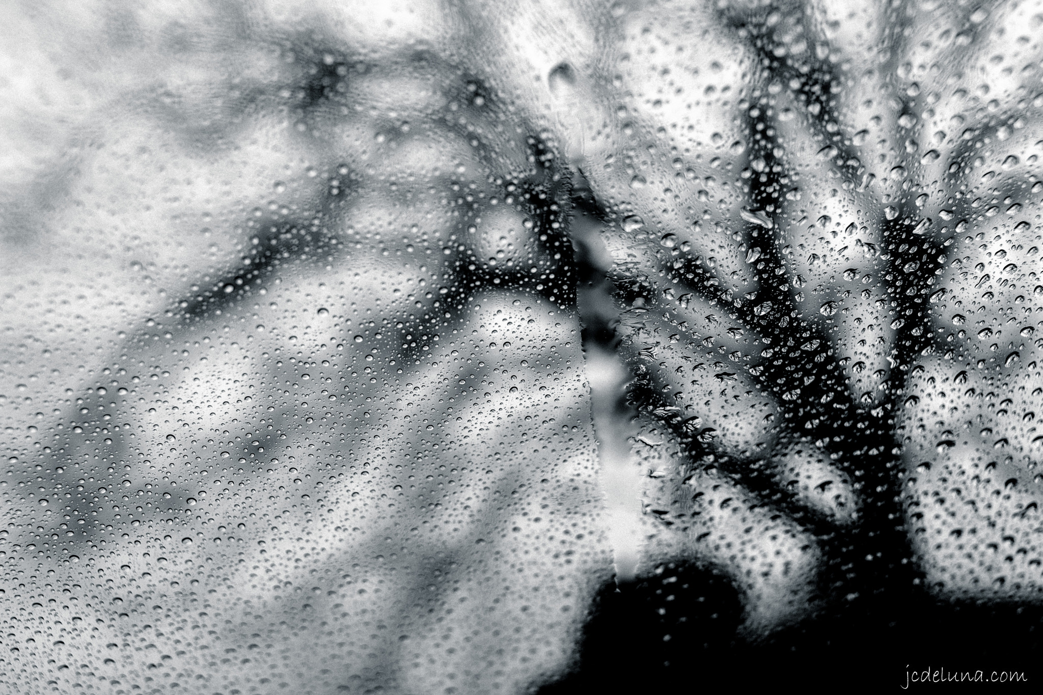 Canon EF 40mm F2.8 STM sample photo. Spring rain photography