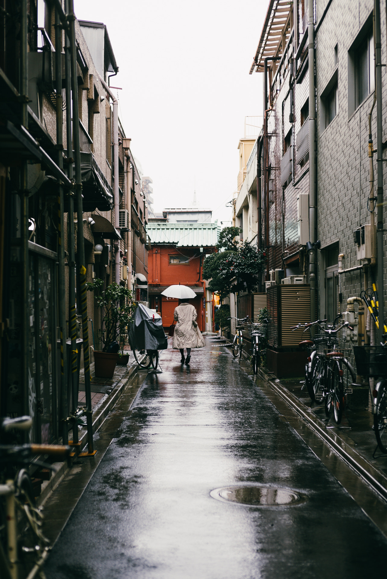 Leica M (Typ 240) + Summilux-M 1:1.4/50 sample photo. 東京市, tokyo photography