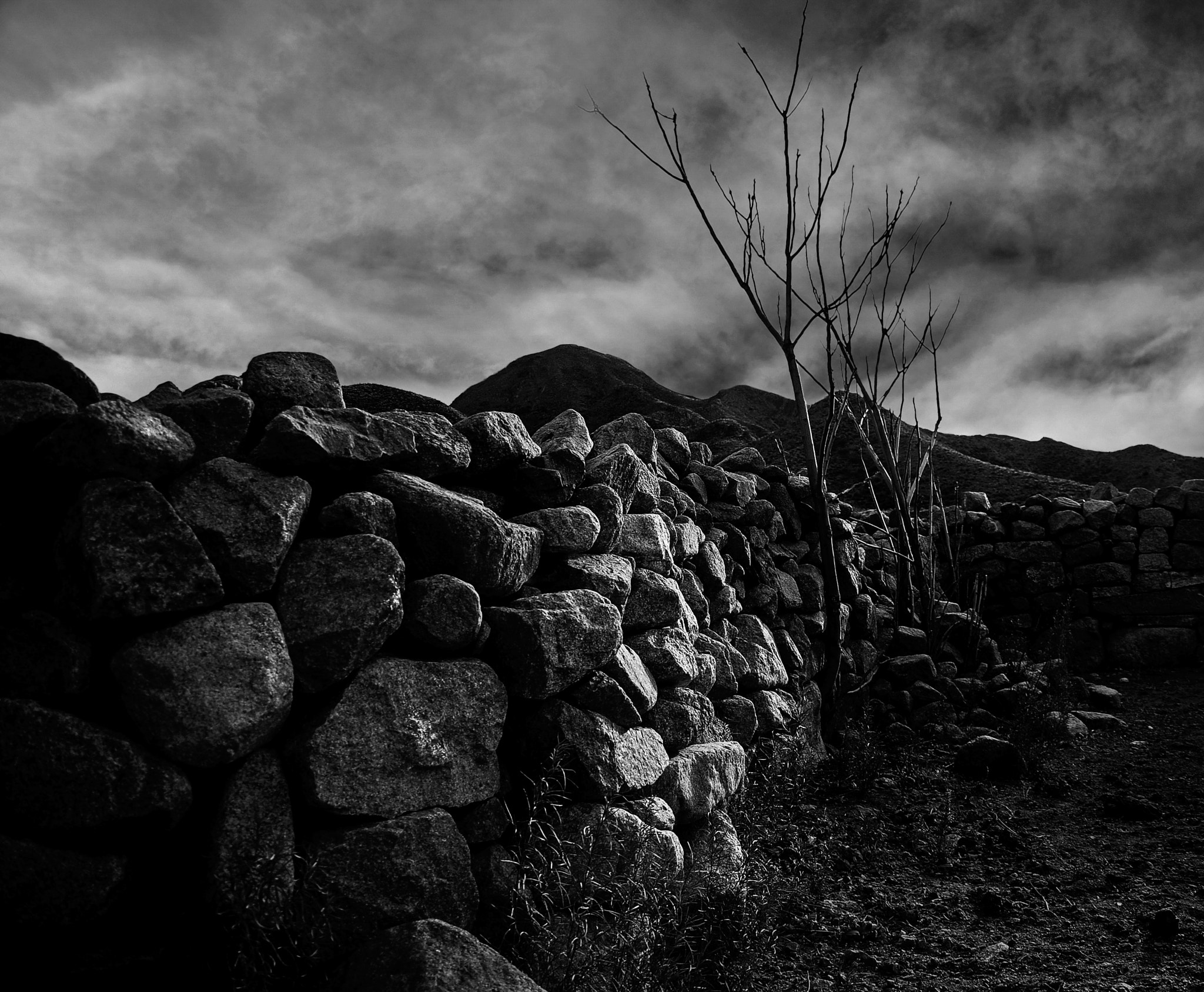Nikon D80 sample photo. In the winter arid photography
