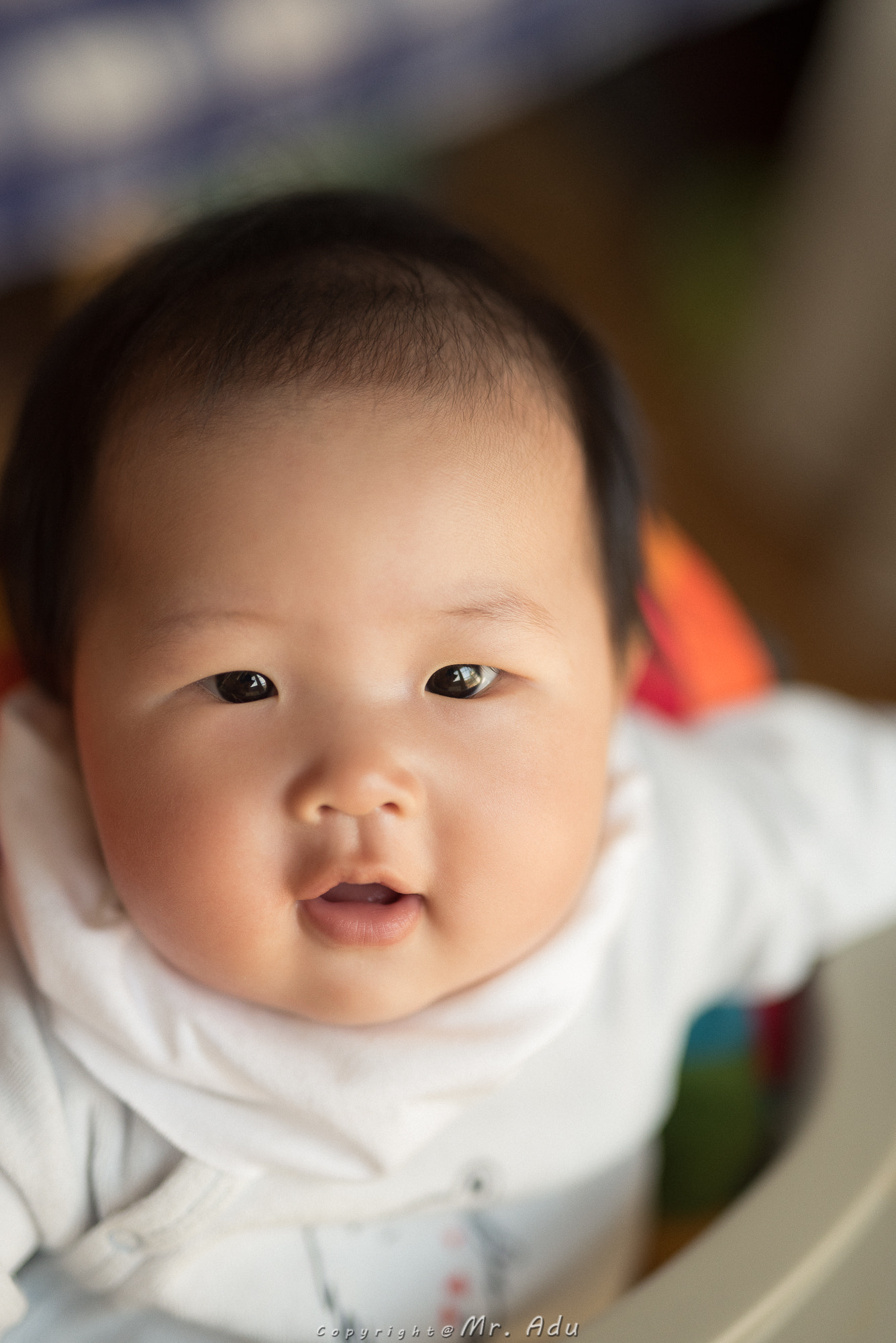 Sigma 50mm F1.4 DG HSM Art sample photo