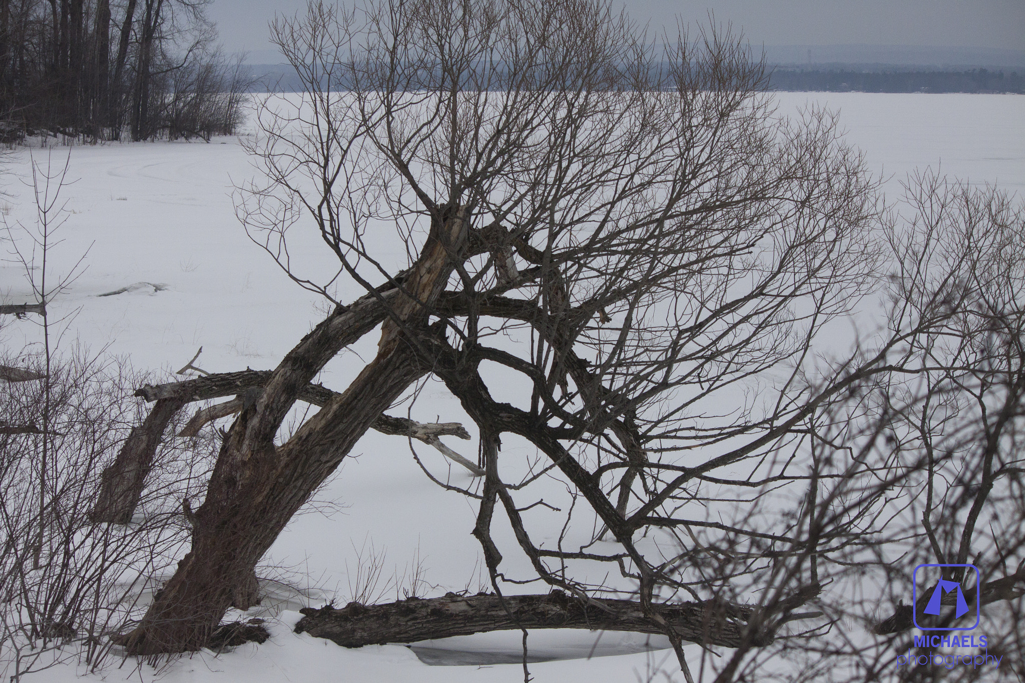 Canon EF-S 55-250mm F4-5.6 IS sample photo. First day of spring photography