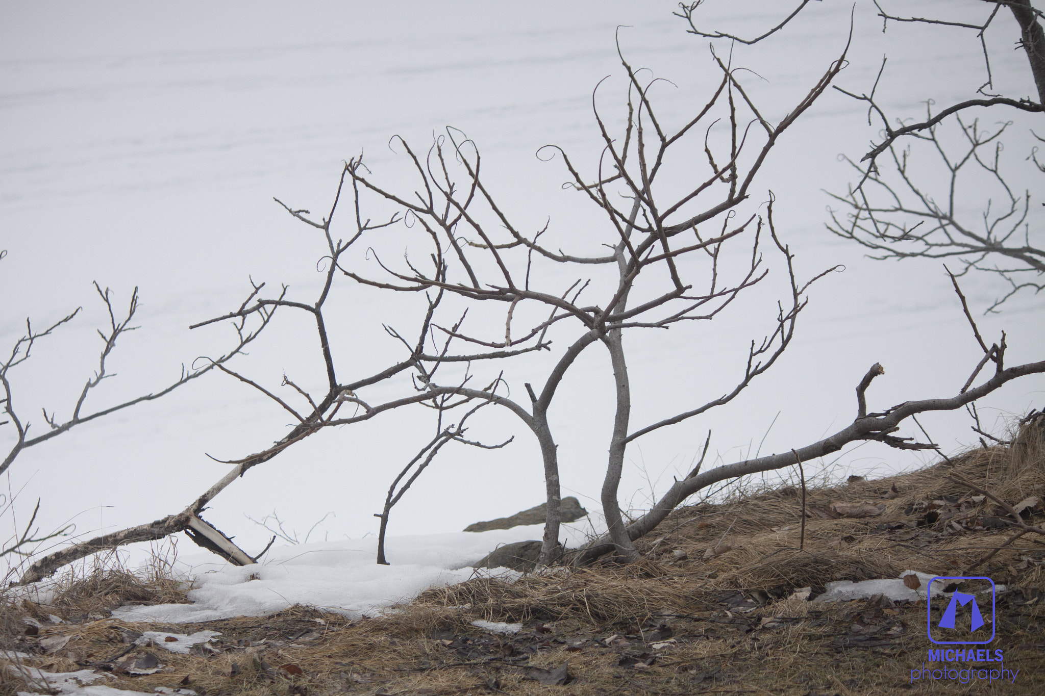 Canon EF-S 55-250mm F4-5.6 IS sample photo. First day of spring photography