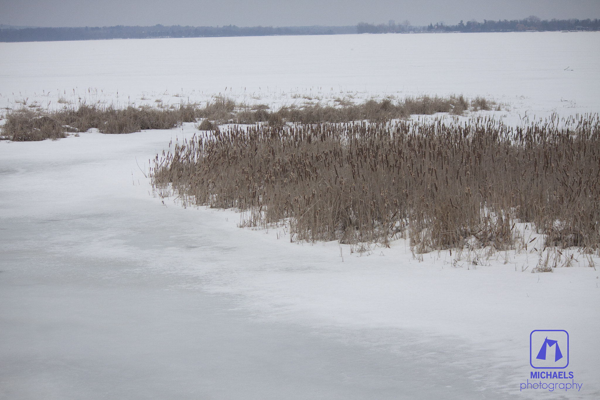 Canon EF-S 55-250mm F4-5.6 IS sample photo. First day of spring photography
