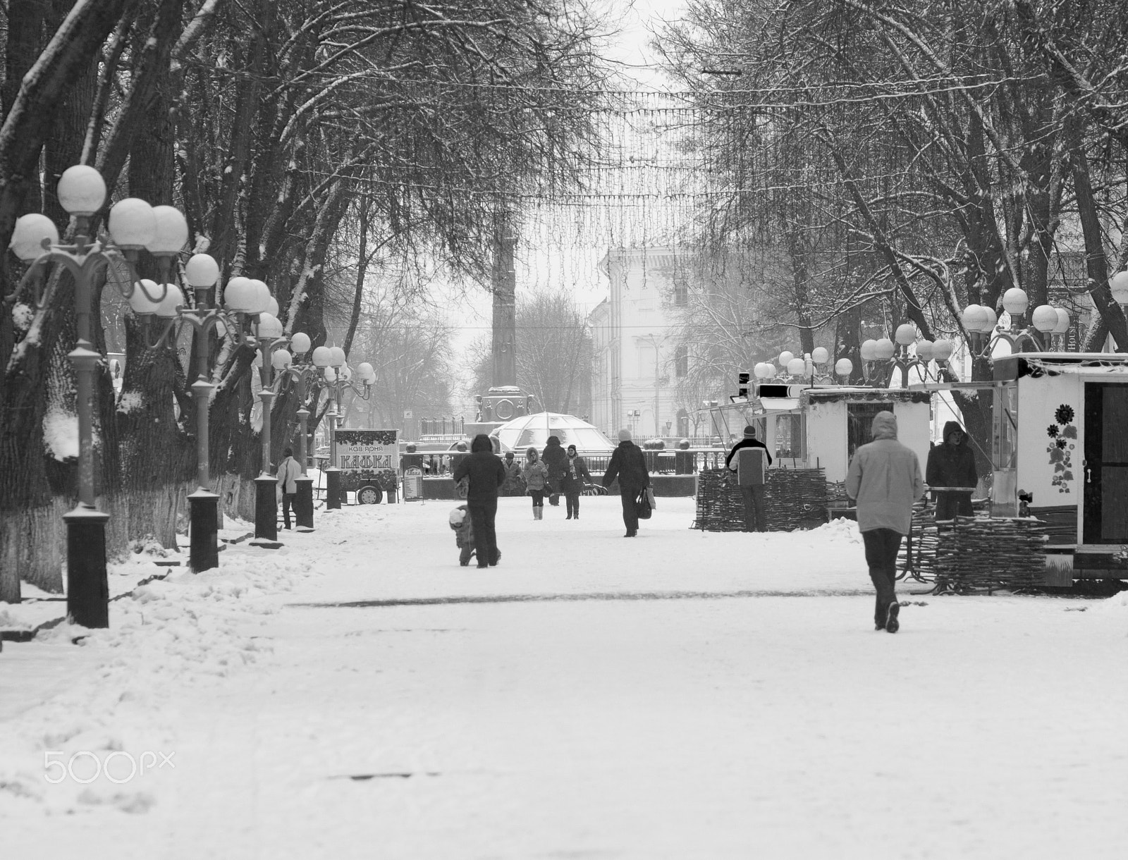 Canon EOS 60D + Canon EF 85mm F1.8 USM sample photo. Snowy day in ukraine photography