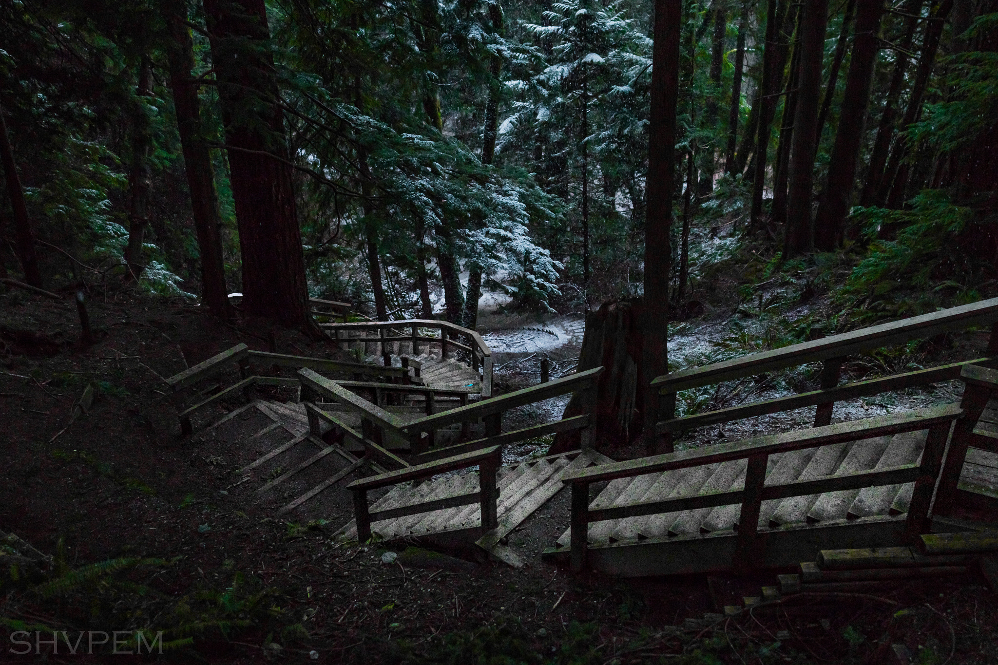 Sigma 24mm F1.4 DG HSM Art sample photo. Vancouver photography