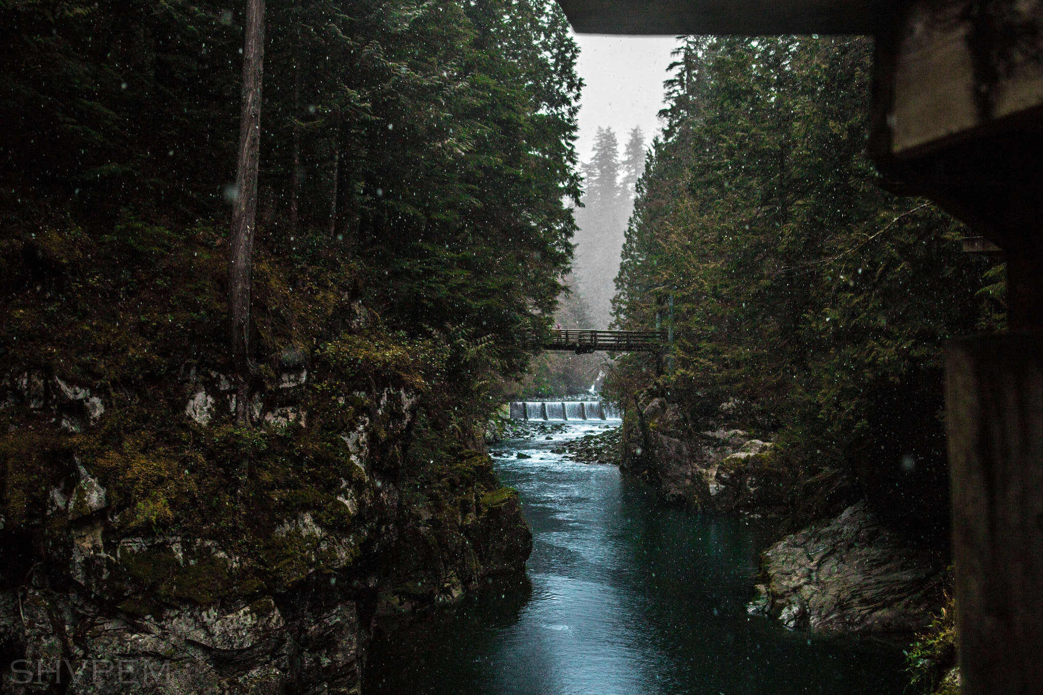 Sigma 24mm F1.4 DG HSM Art sample photo. Vancouver photography