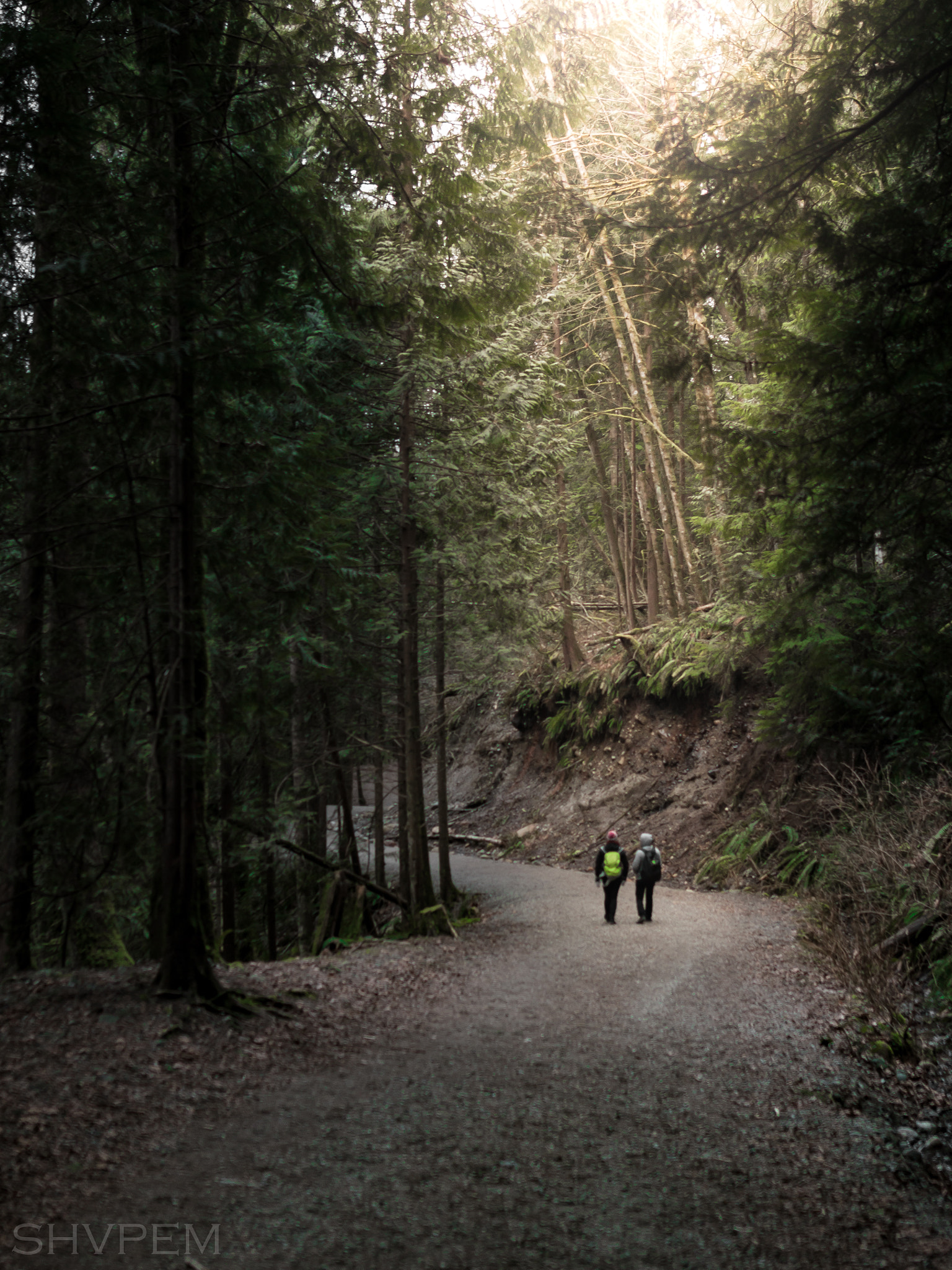 Sigma 24mm F1.4 DG HSM Art sample photo. Vancouver photography