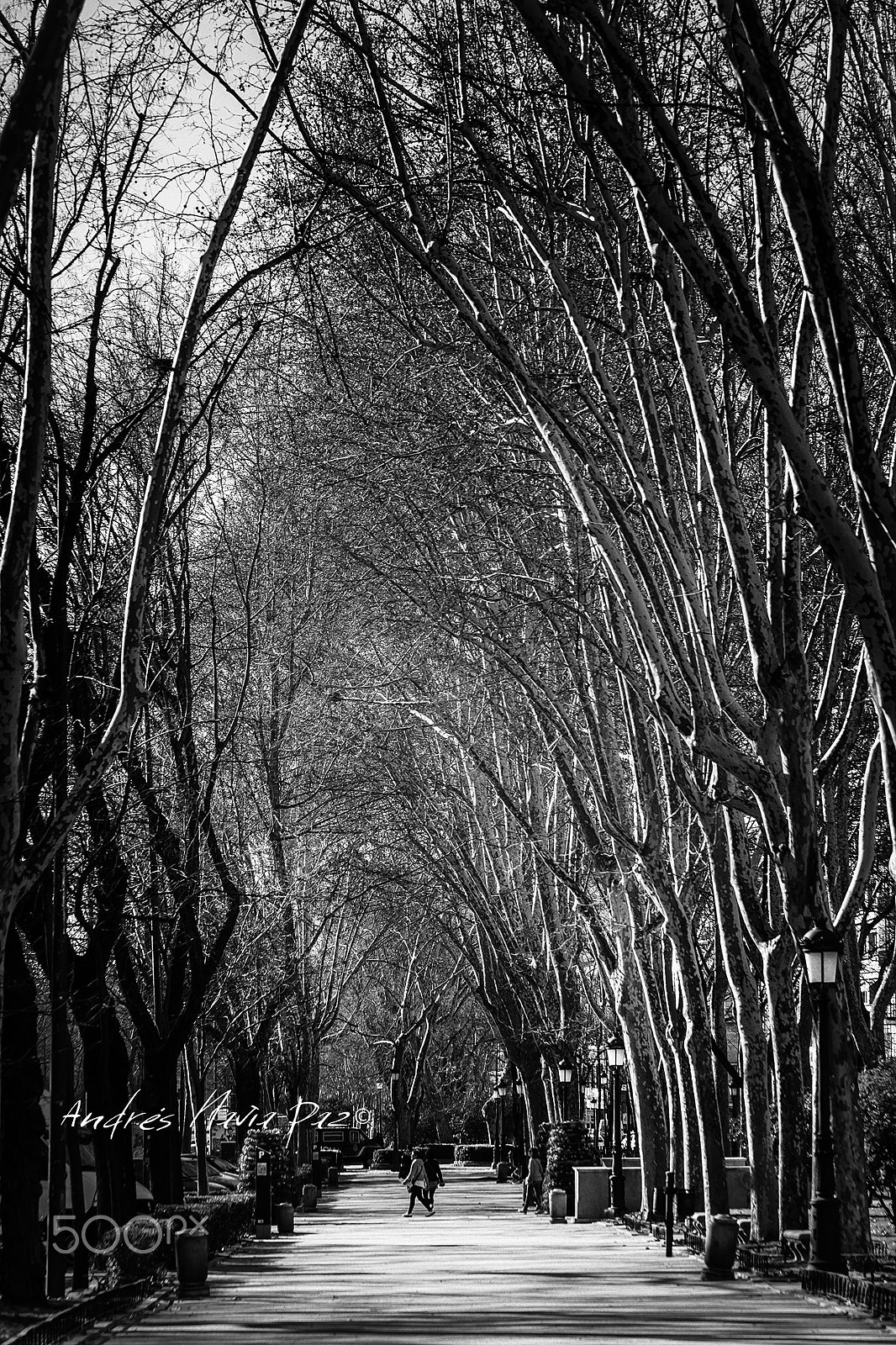 Canon EF 28-135mm F3.5-5.6 IS USM sample photo. Madrid. photography