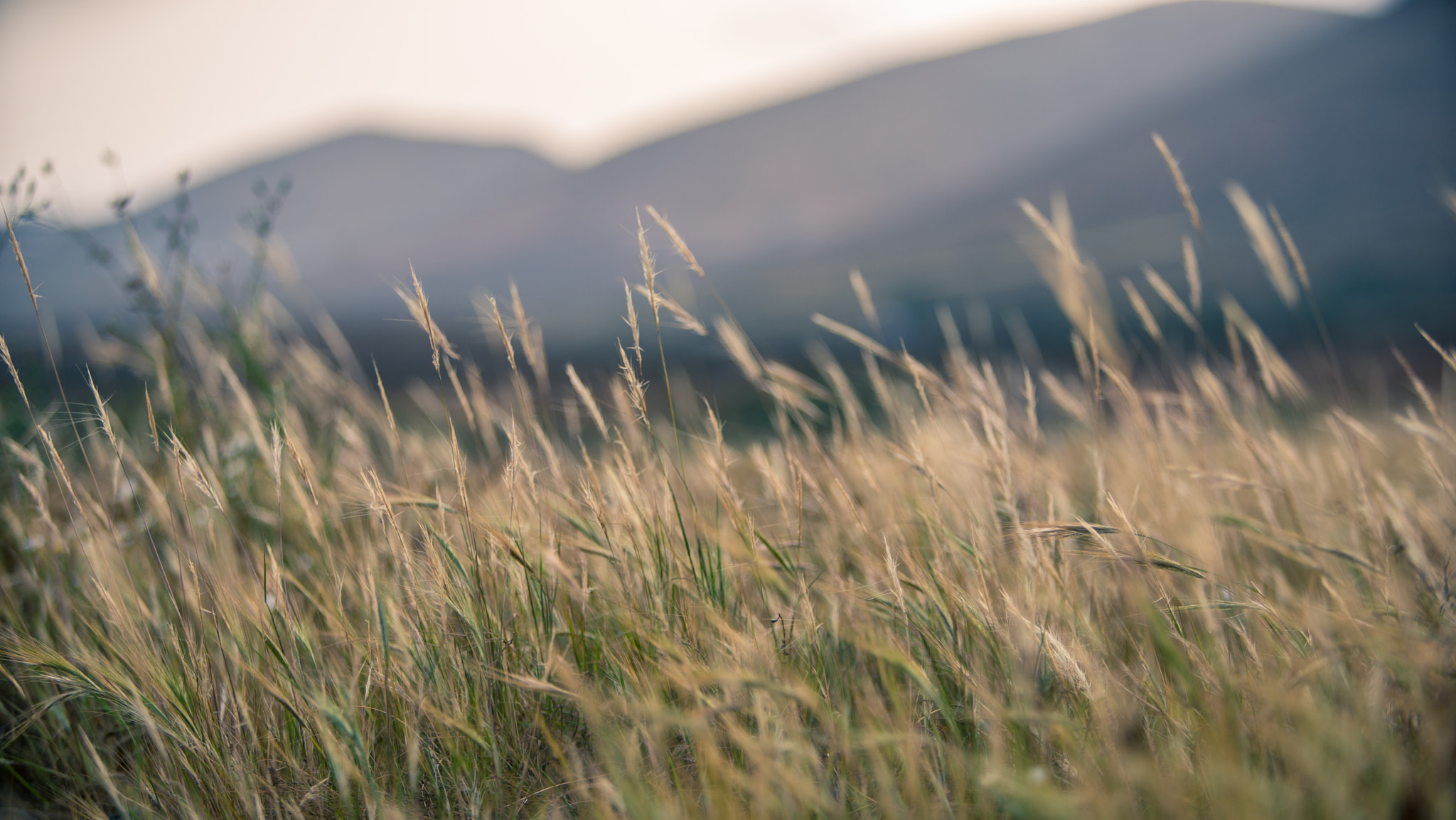 Canon EF 70-200mm F2.8L IS USM sample photo. Rincones isleños. photography
