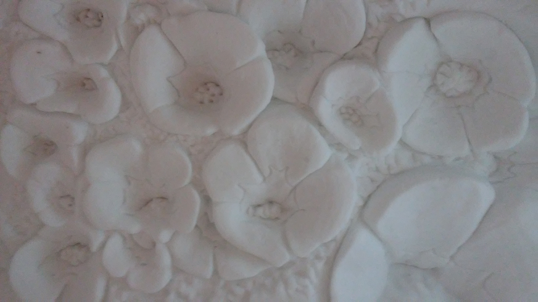 LG X POWER sample photo. Flowers photography