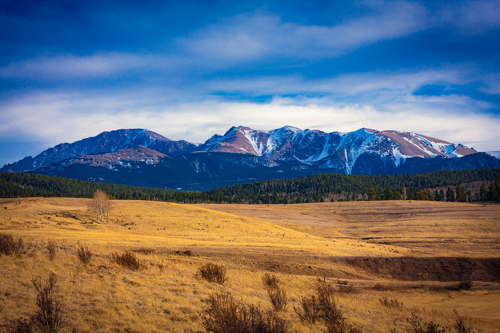 Canon EOS 40D sample photo. Pikes peak photography