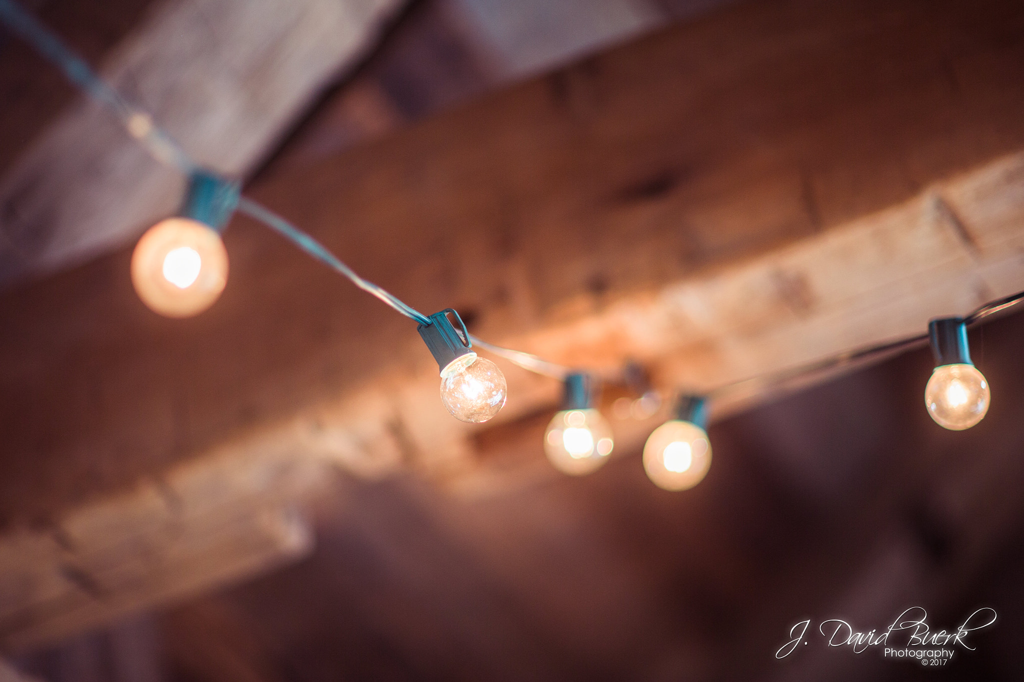 Canon EF 85mm F1.2L II USM sample photo. Fumbling towards ecstasy: winter of 2017 photography