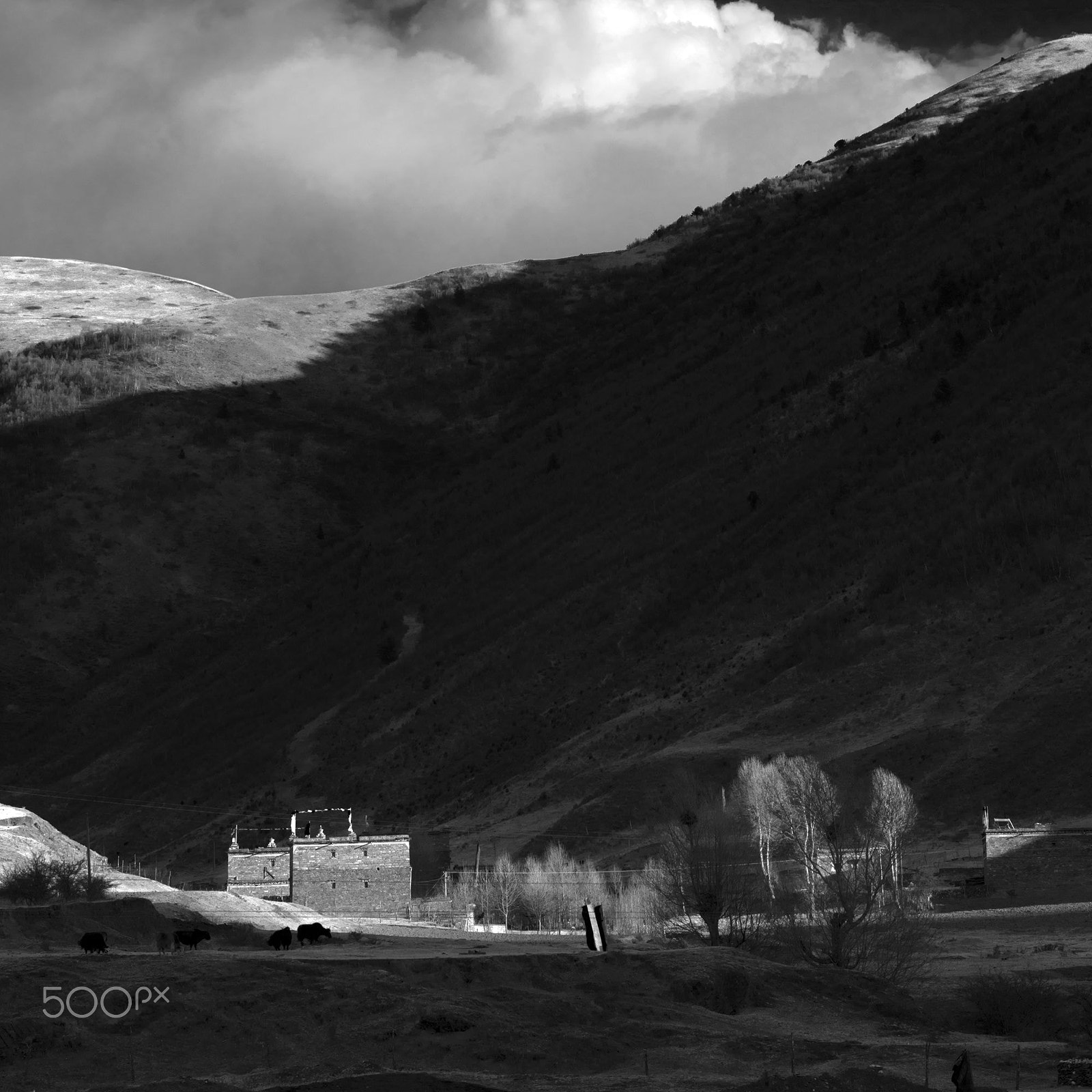 Nikon D810 sample photo. House of tibet photography