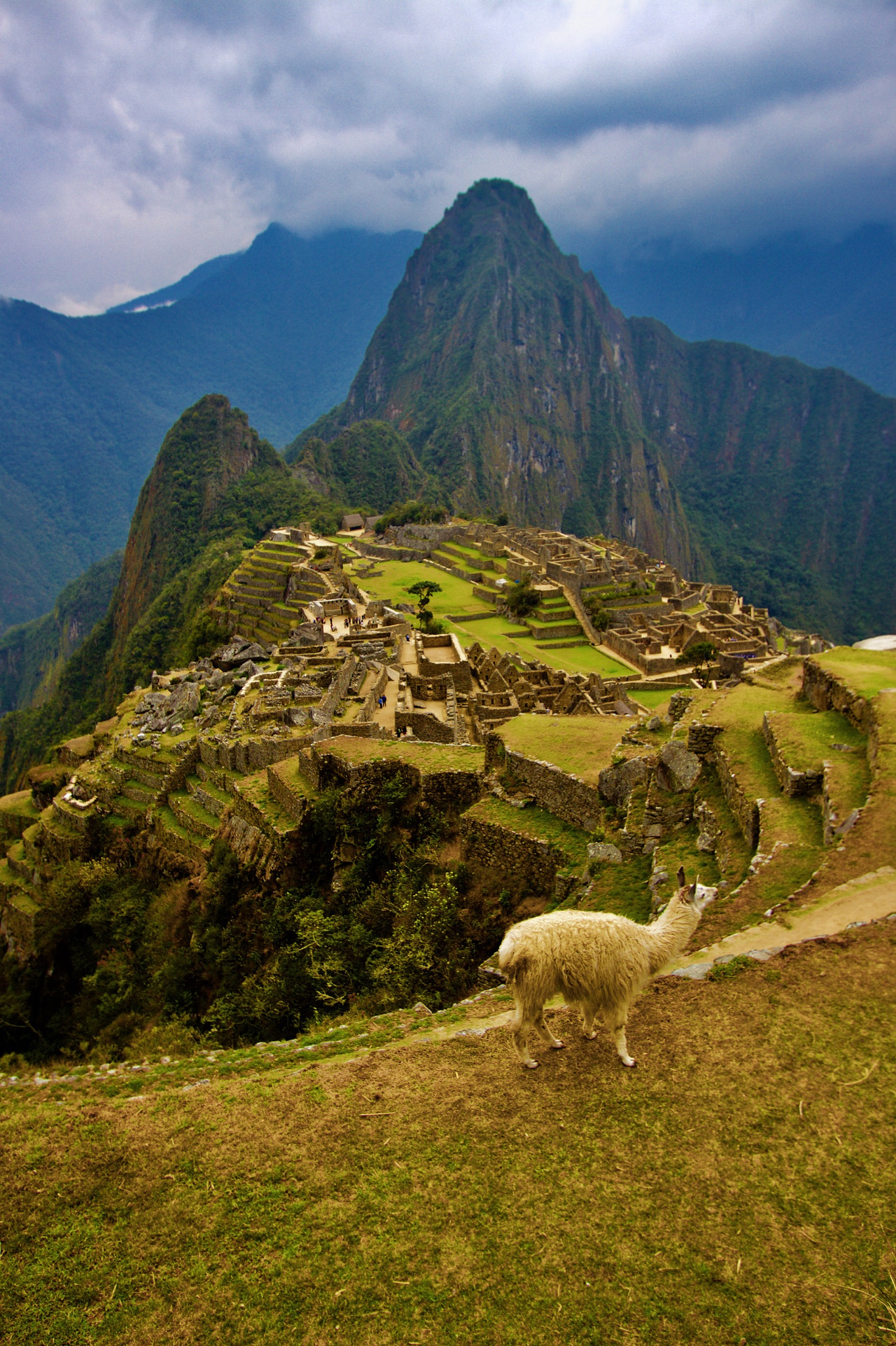 Canon EOS 100D (EOS Rebel SL1 / EOS Kiss X7) sample photo. Machu picchu photography