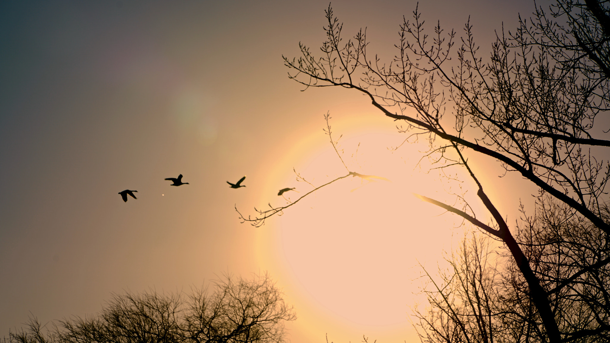 Sony FE PZ 28-135mm F4 G OSS sample photo. Sunset photography