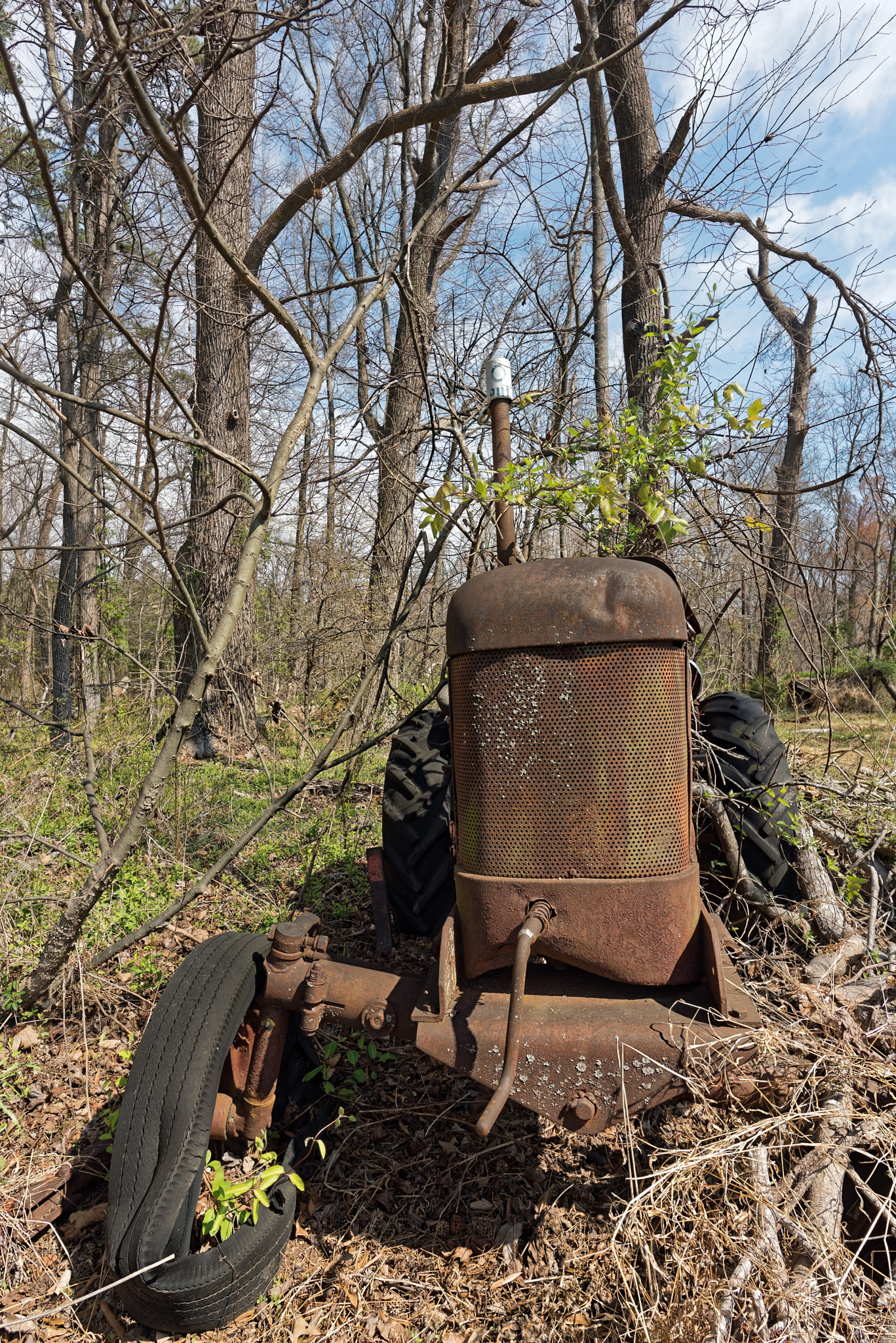 Nikon D810 + Nikon AF-S Nikkor 20mm F1.8G ED sample photo. Gibsonvillenc-03-21-2017-002 photography