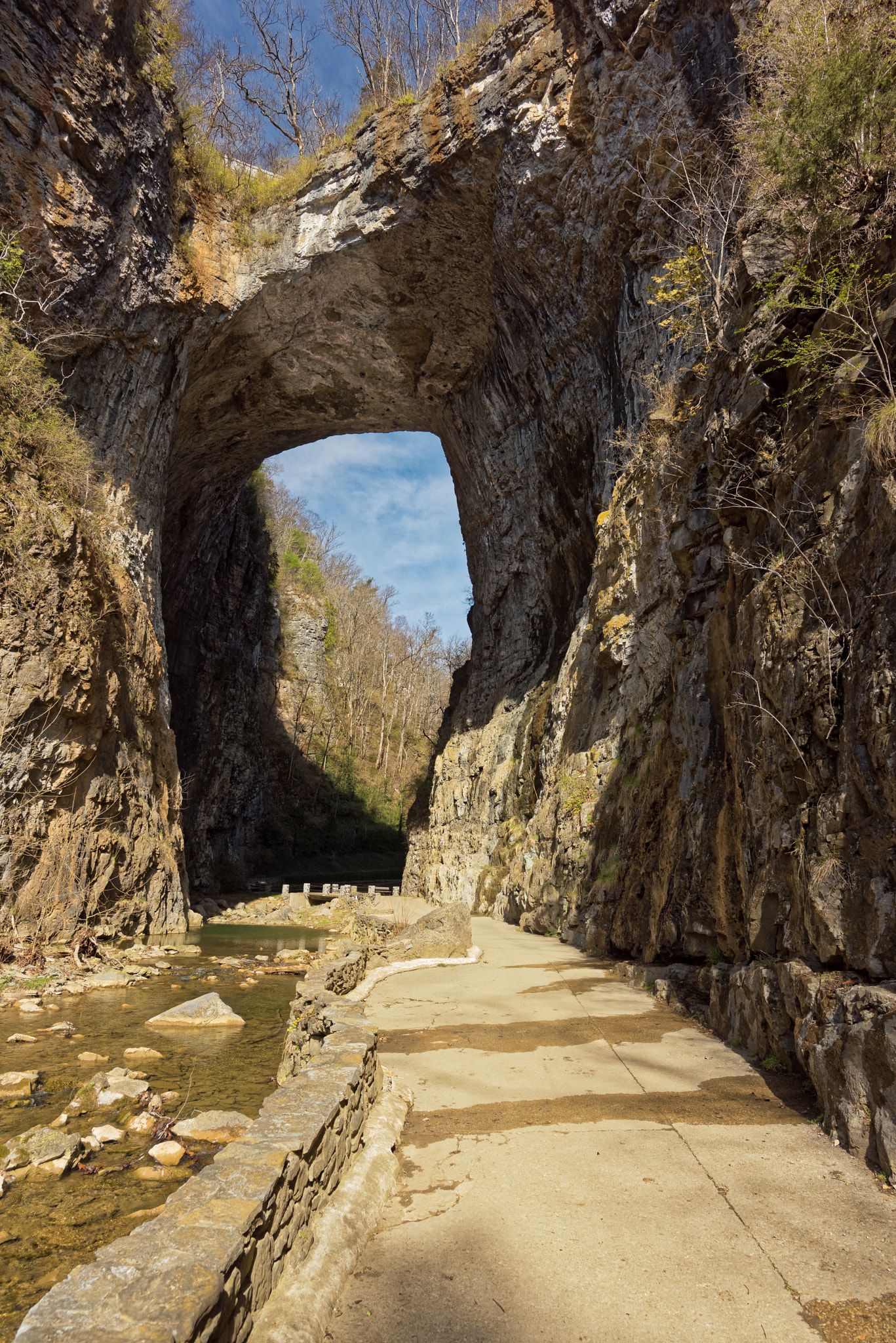 Nikon D810 sample photo. Naturalbridgeva-03-20-2017-001 photography