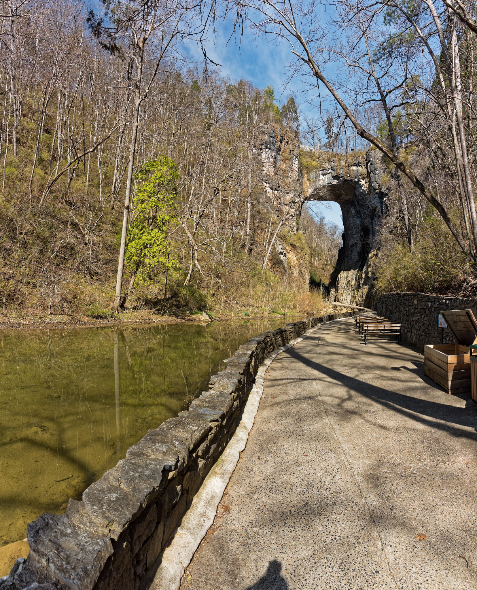 Nikon D810 + Nikon AF-S Nikkor 20mm F1.8G ED sample photo. Naturalbridgeva-03-20-2017-002 photography