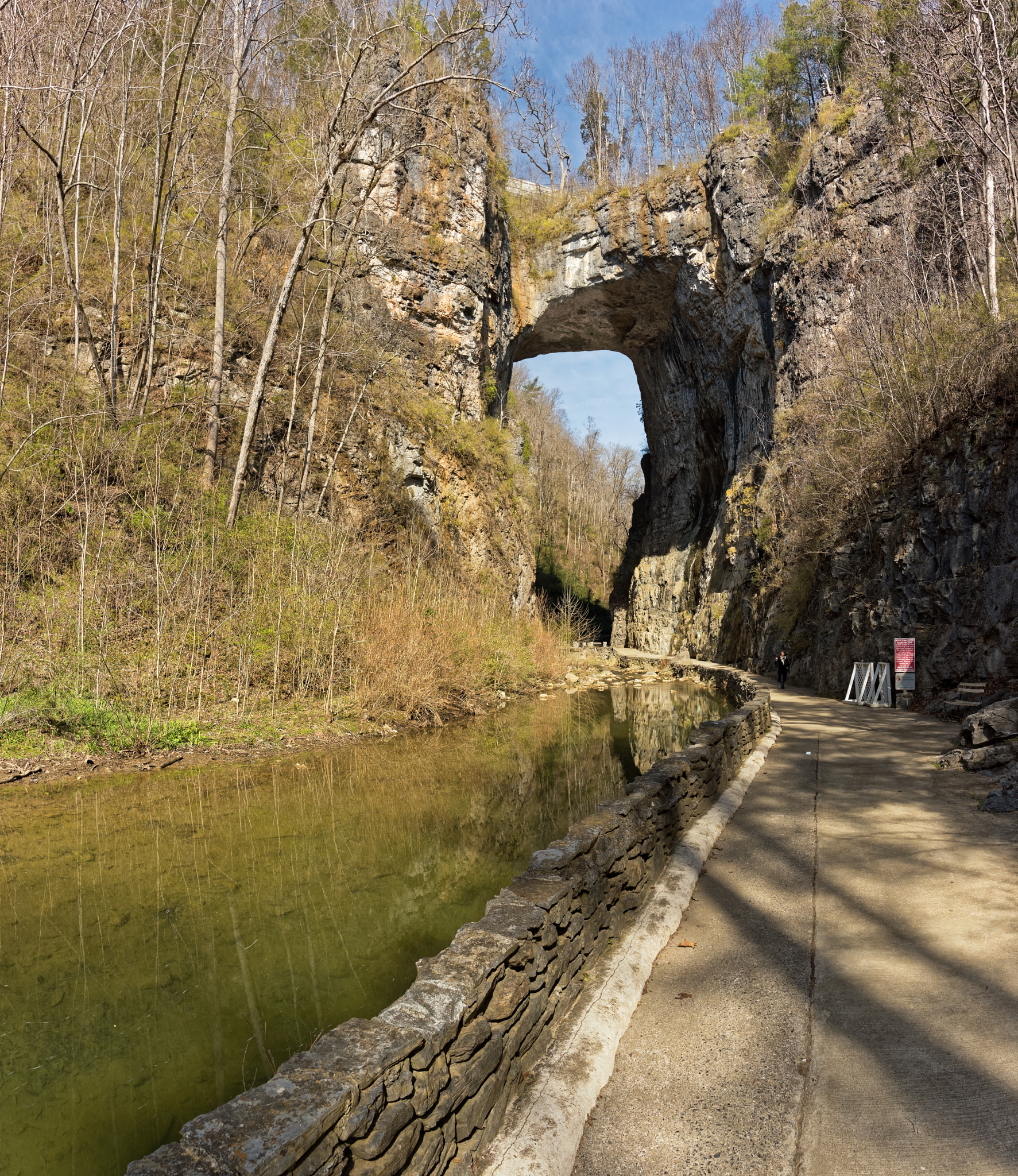 Nikon D810 sample photo. Naturalbridgeva-03-20-2017-003 photography