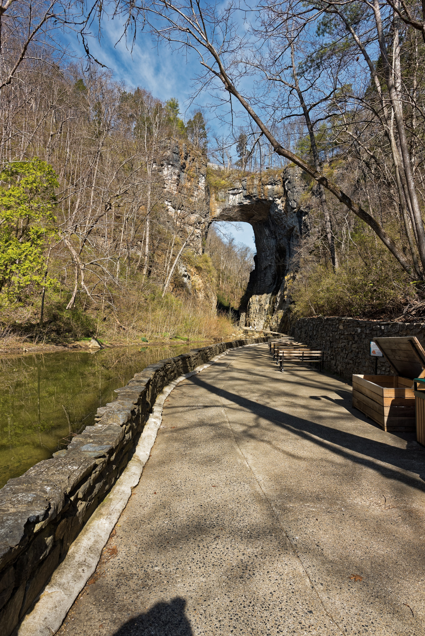 Nikon D810 sample photo. Naturalbridgeva-03-20-2017-005 photography