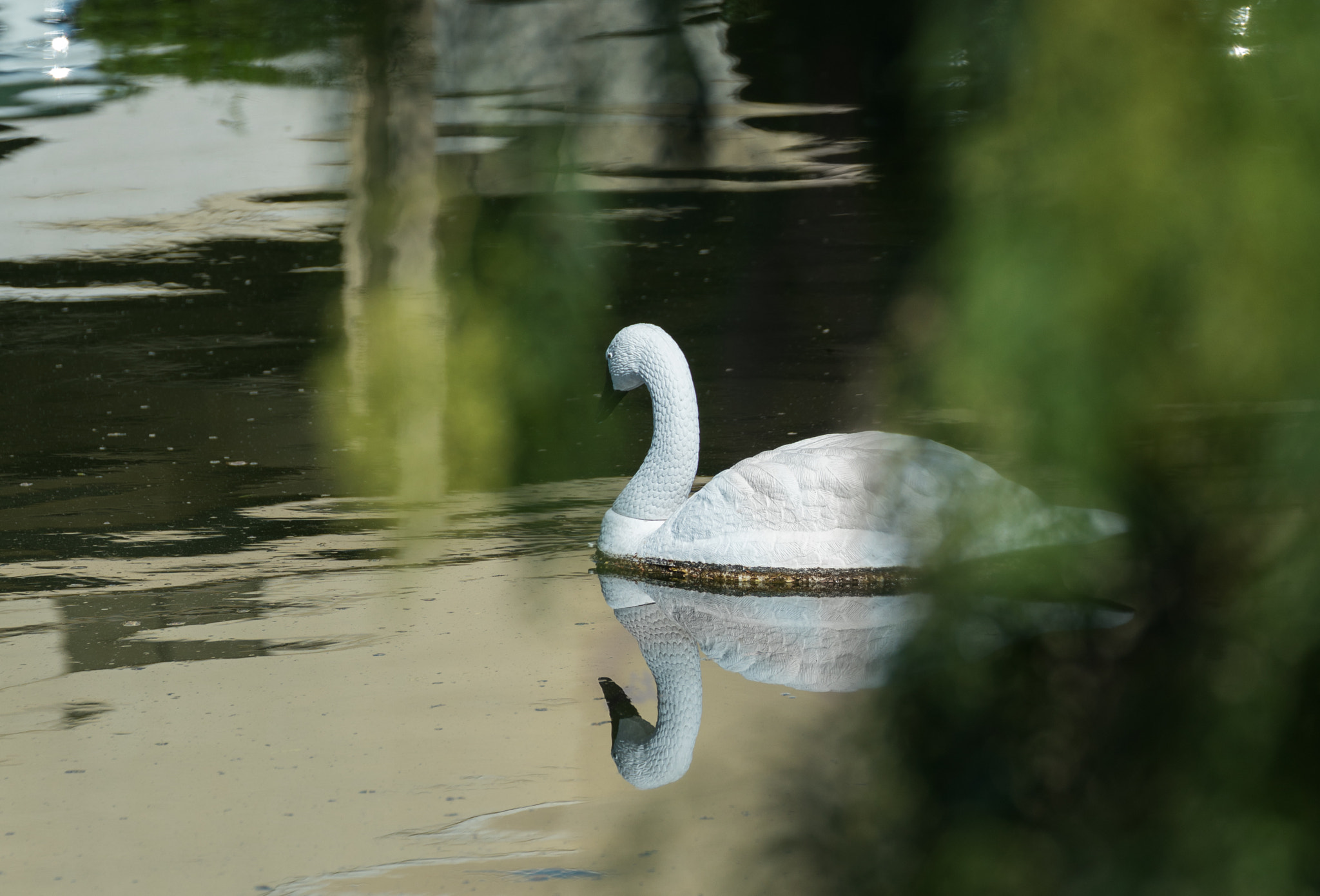 Canon EF 70-300mm F4-5.6L IS USM sample photo. Feeling lonely... photography