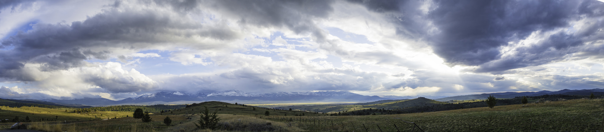 Nikon D800 + Nikon AF-S Nikkor 24mm F1.4G ED sample photo. Strawberry range photography