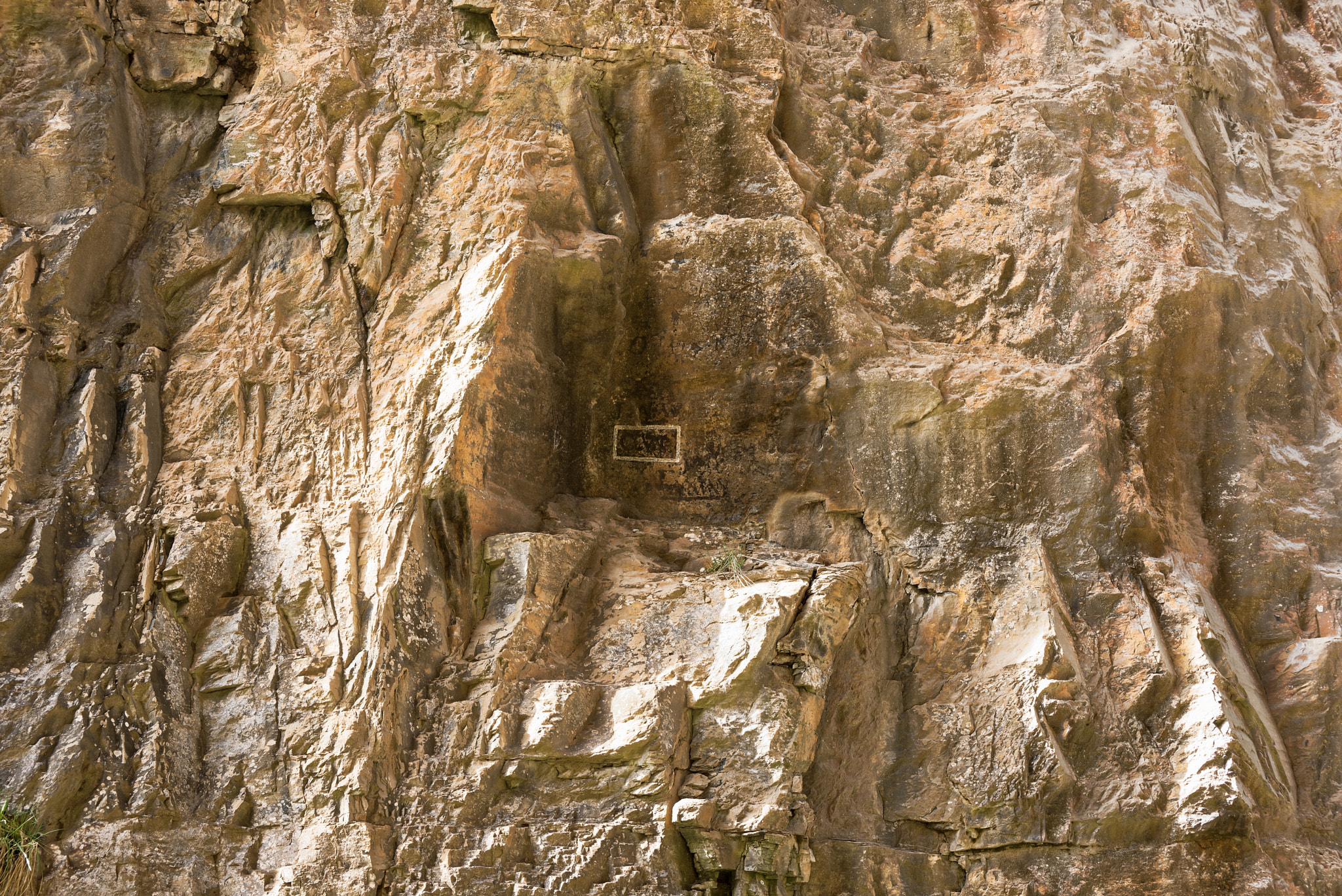Nikon D810 sample photo. Naturalbridgeva-03-20-2017-008 photography