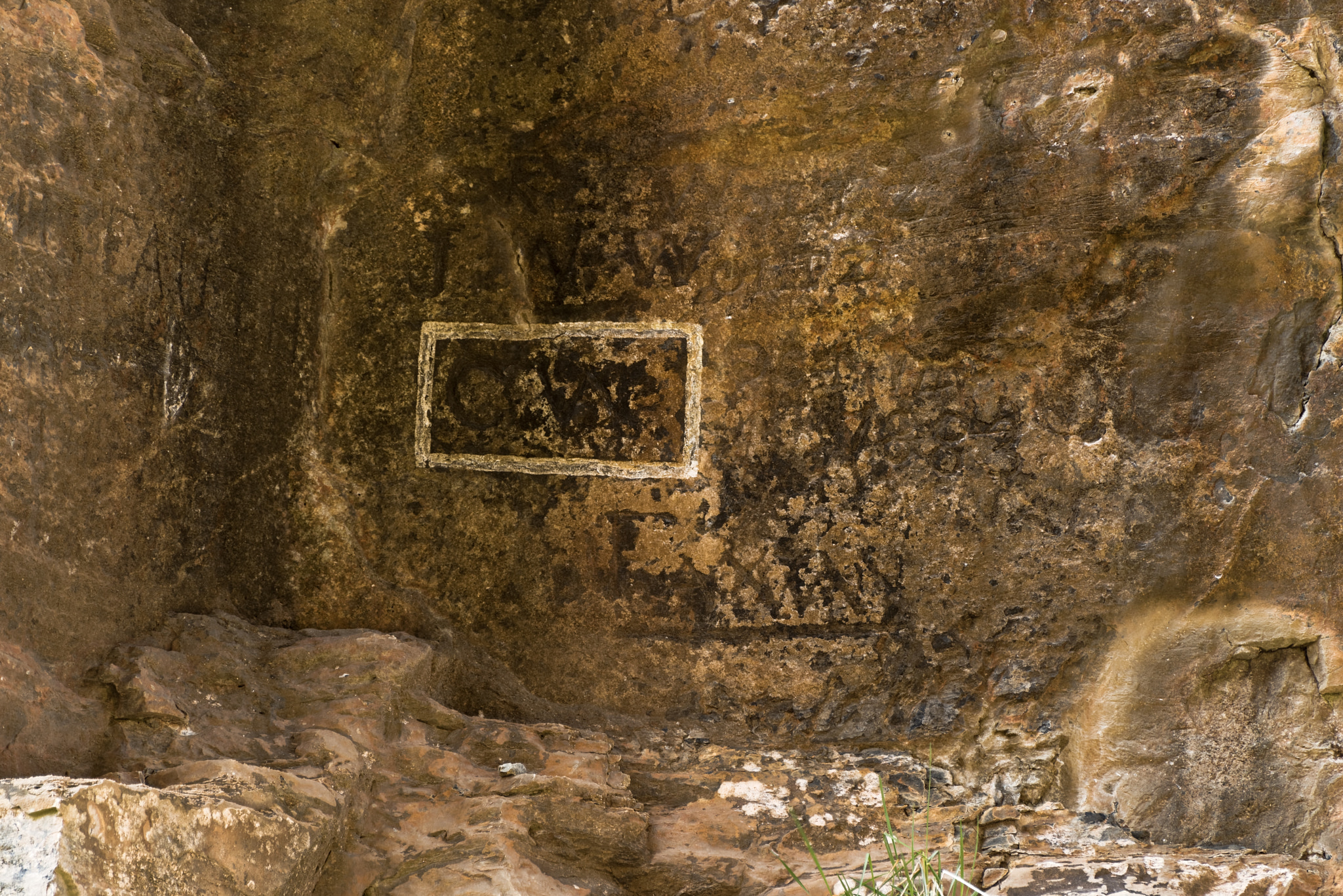 Nikon D810 sample photo. Naturalbridgeva-03-20-2017-007 photography
