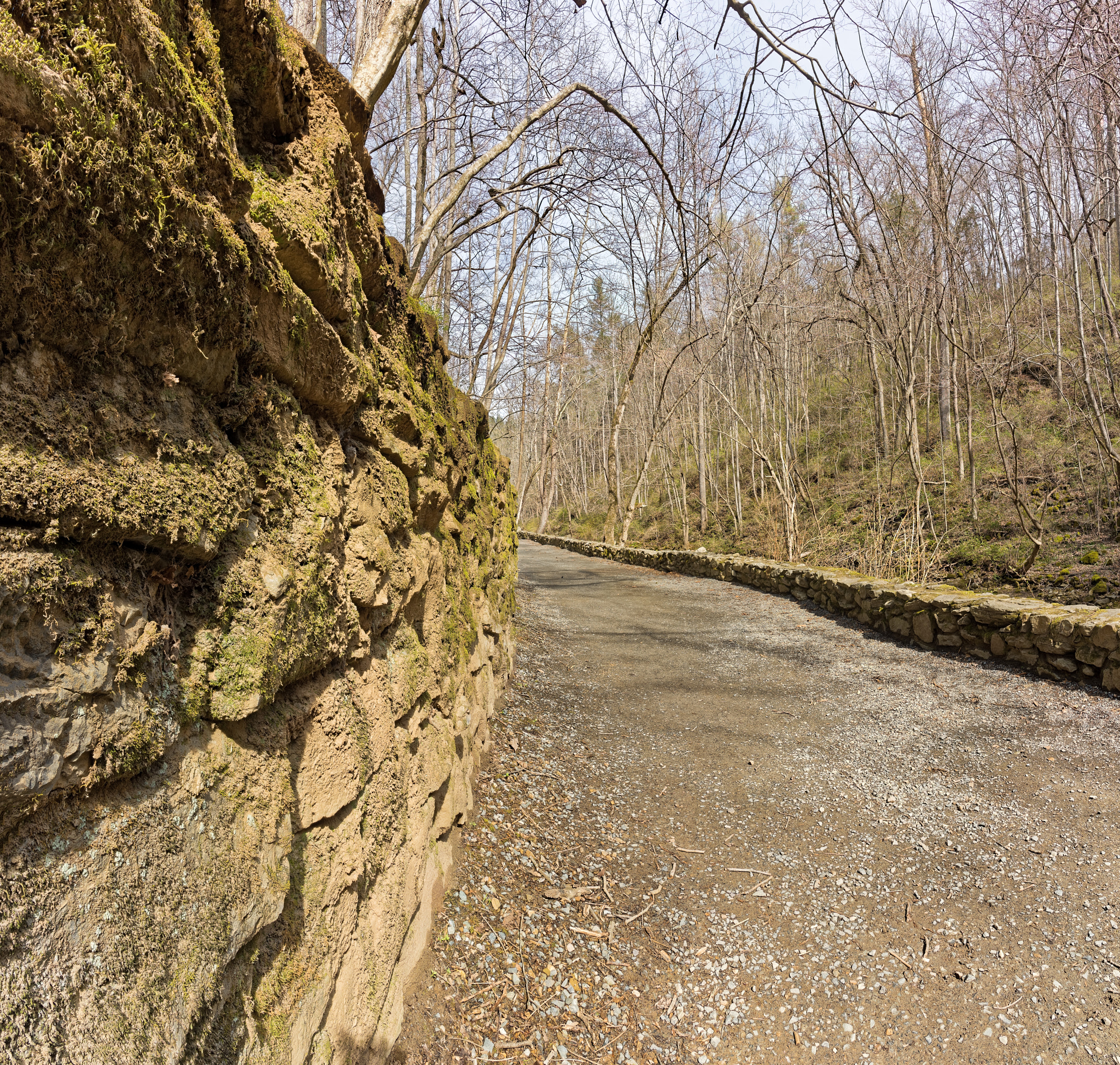 Nikon D810 + Nikon AF-S Nikkor 20mm F1.8G ED sample photo. Naturalbridgeva-03-20-2017-009 photography