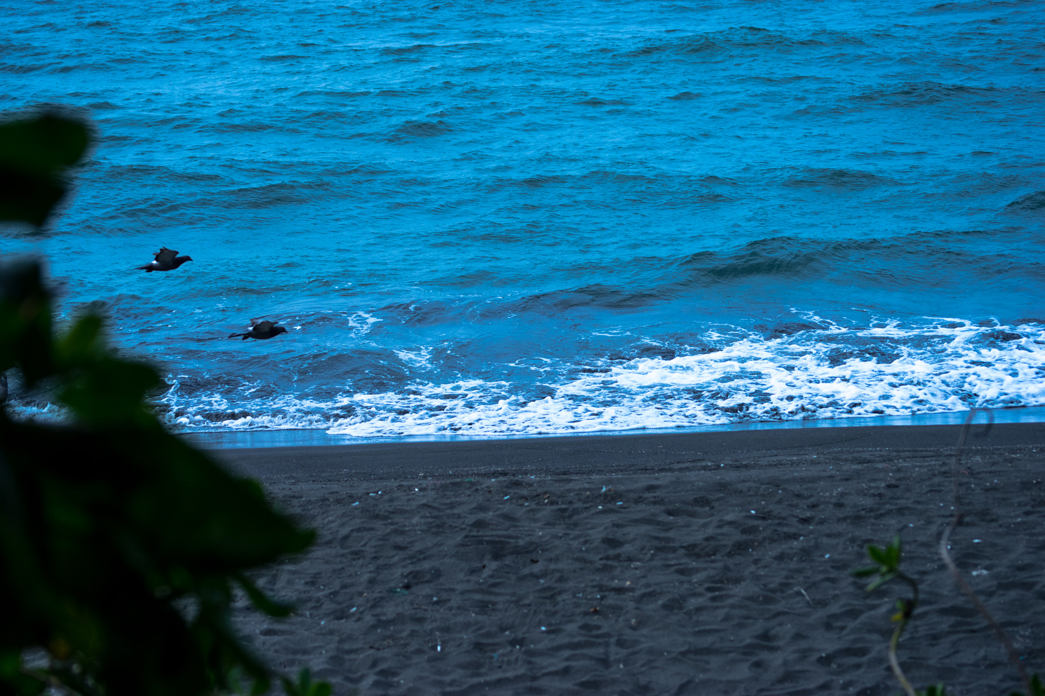 Sony 75-300mm F4.5-5.6 sample photo. Dsc photography