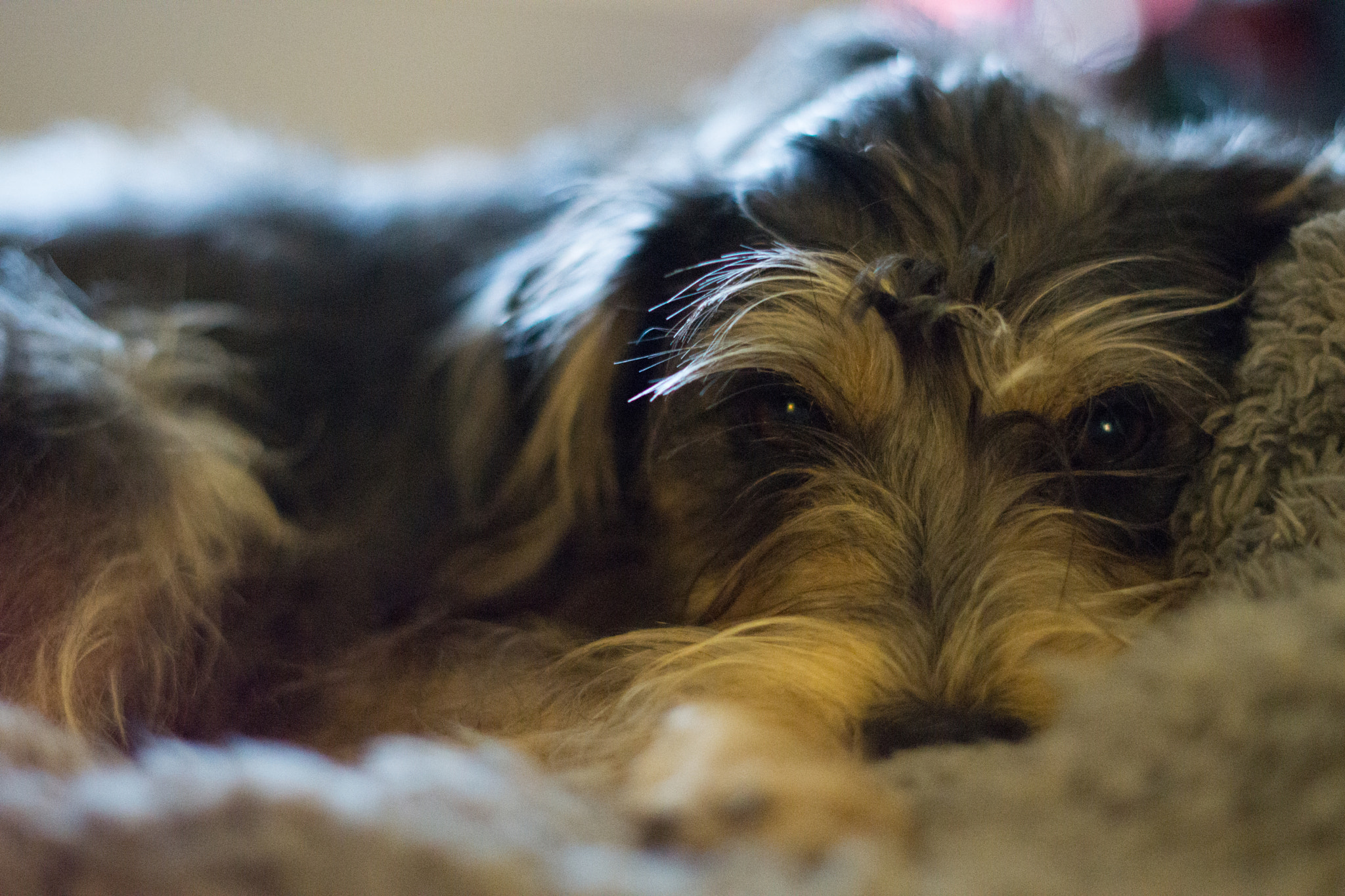 Sony FE 50mm F1.8 sample photo. Dsc photography