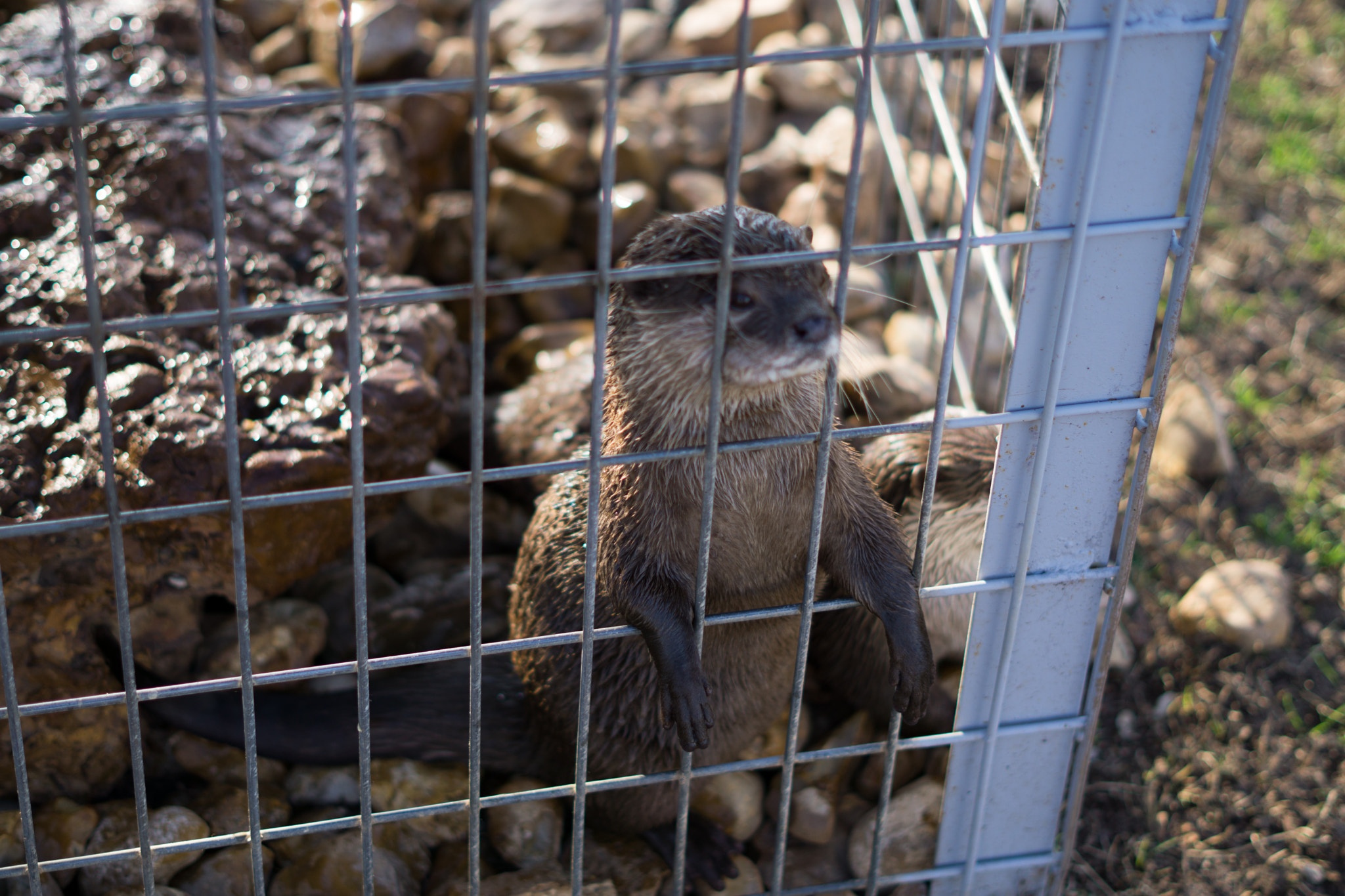 Sony FE 50mm F1.8 sample photo. Dsc photography