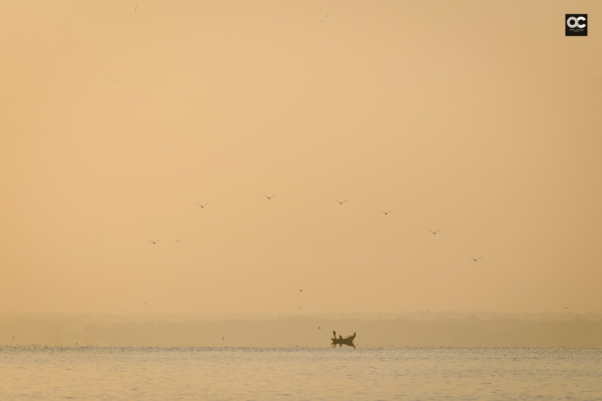 Nikon AF-S Nikkor 200-500mm F5.6E ED VR sample photo. The morning hour photography
