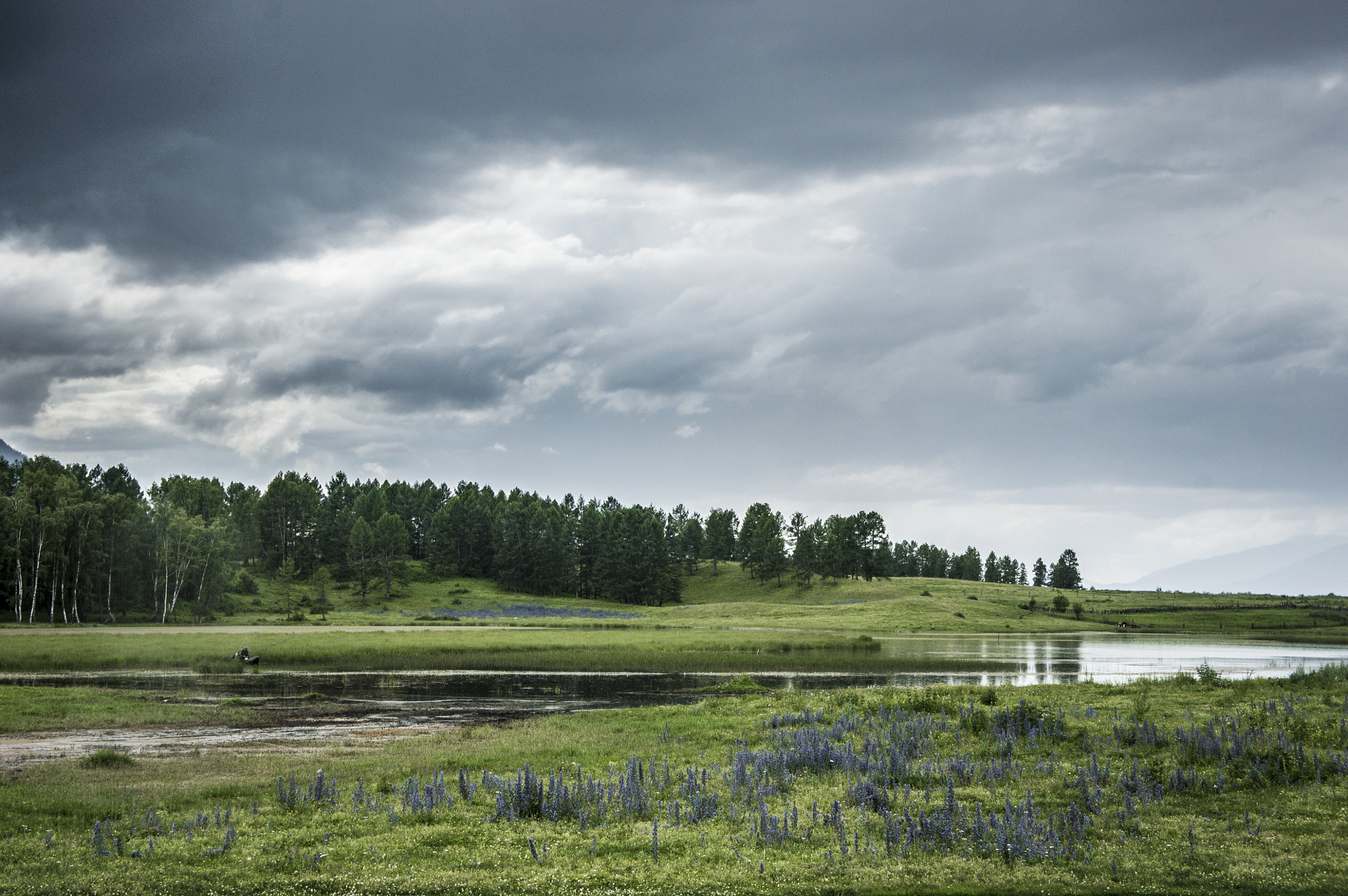 Sony Alpha NEX-3 + Sony E 18-55mm F3.5-5.6 OSS sample photo. Lake with a fisherman and flowers. photography