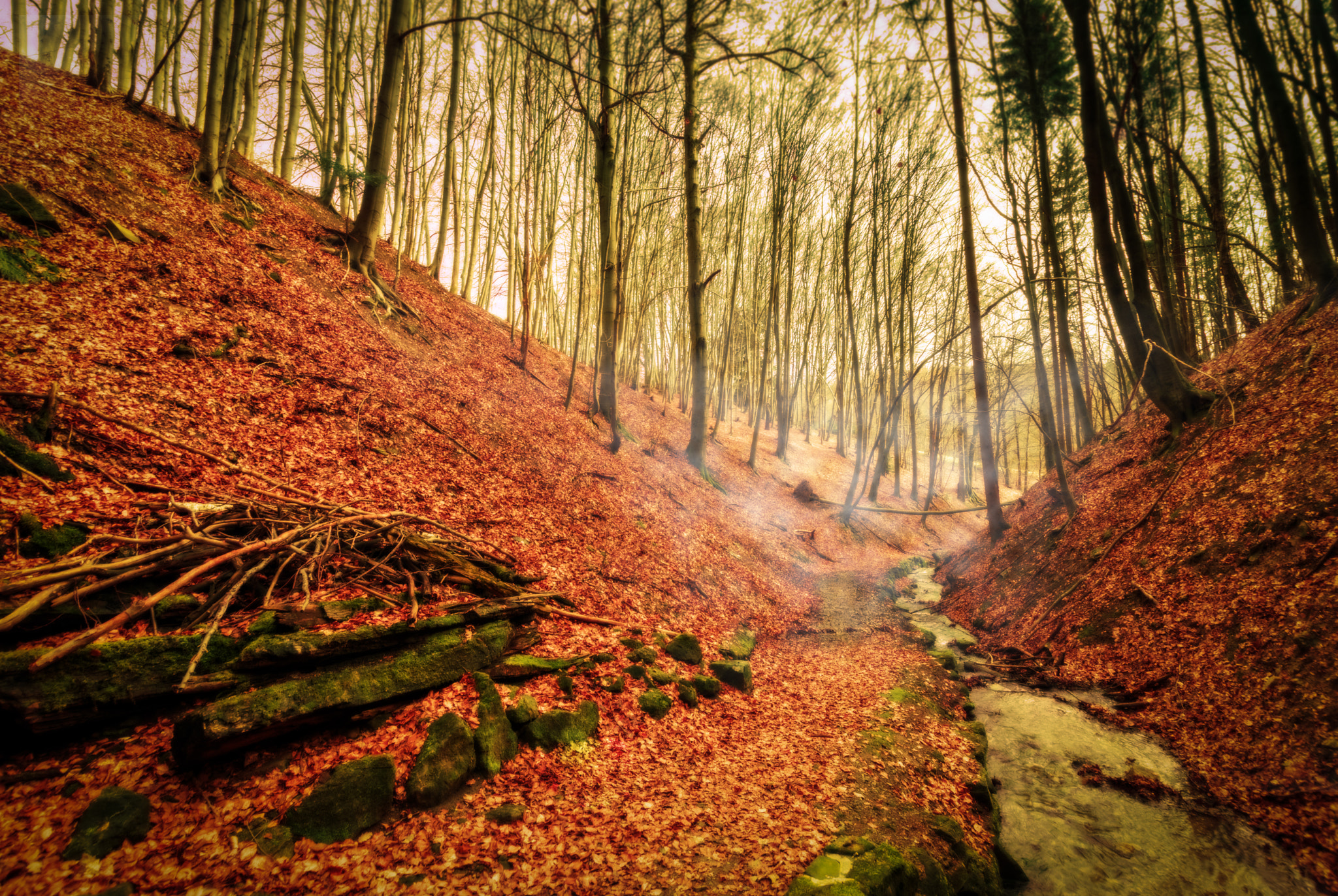 Nikon D3300 + Sigma 10-20mm F3.5 EX DC HSM sample photo. Misty ditch photography