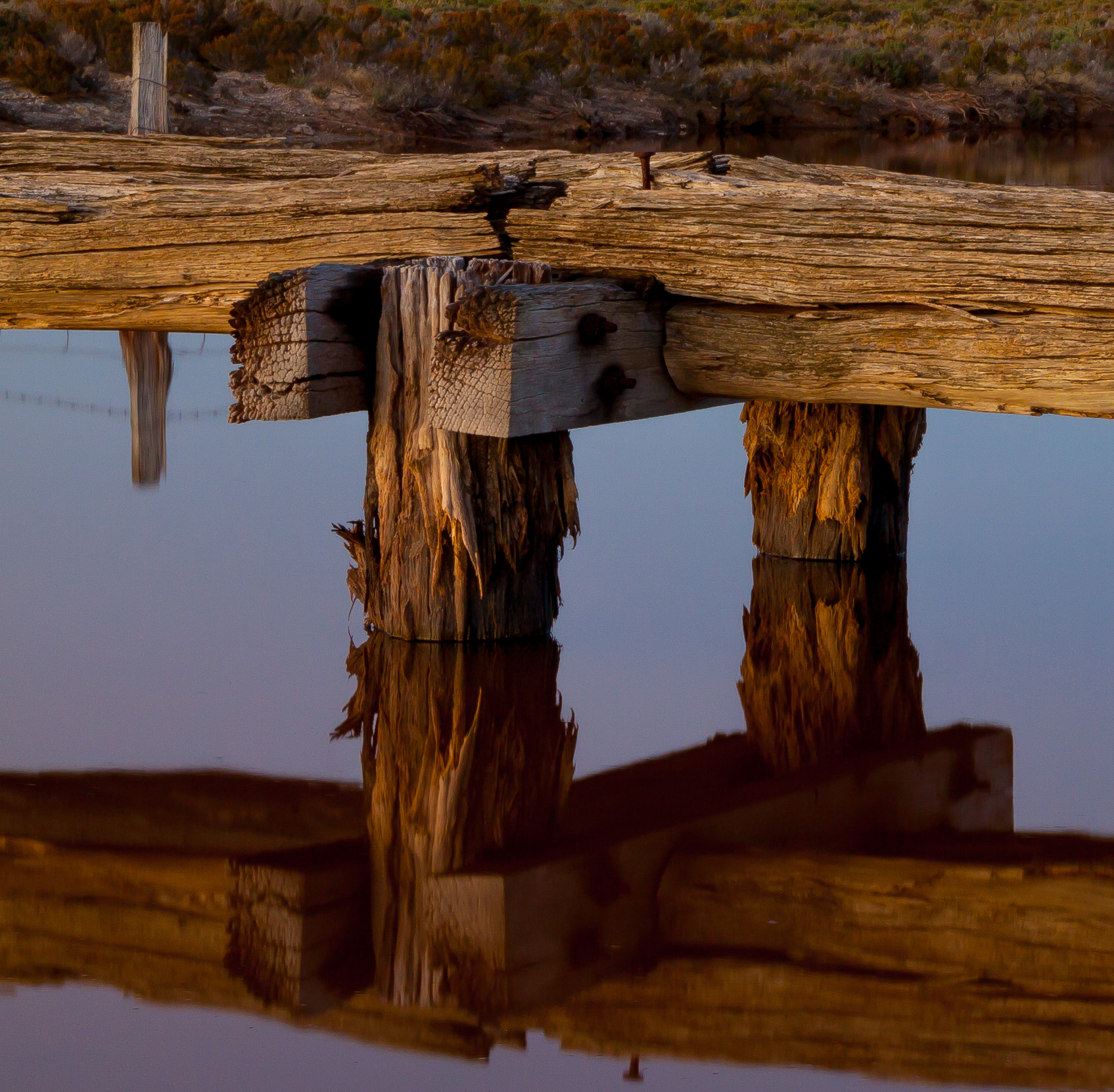Canon EF-S 17-55mm F2.8 IS USM sample photo. Wooden reflection photography